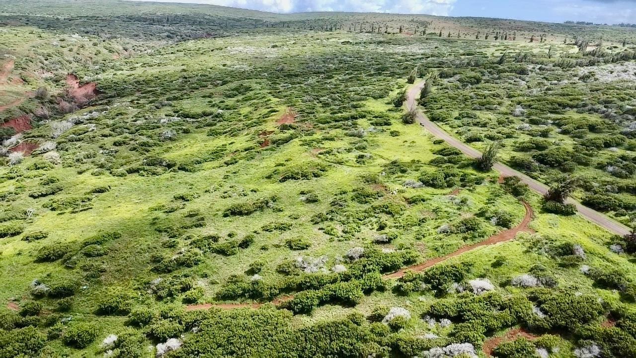 0 Kalua Koi Rd 56 Maunaloa, Hi vacant land for sale - photo 18 of 27