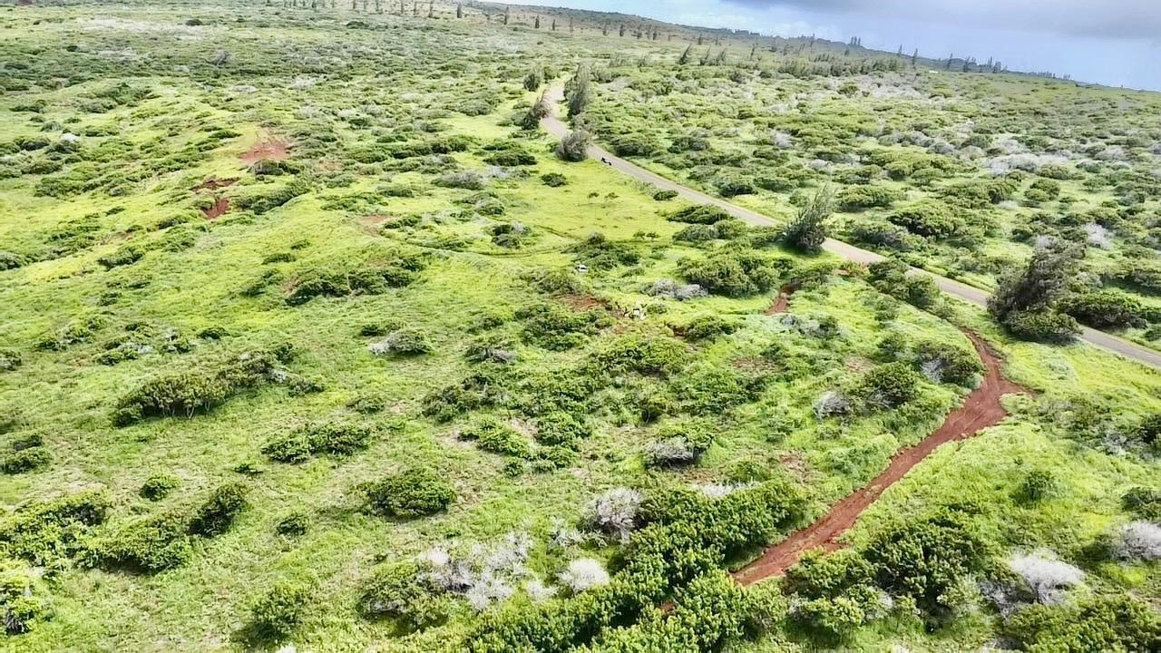 0 Kalua Koi Rd 56 Maunaloa, Hi vacant land for sale - photo 19 of 27