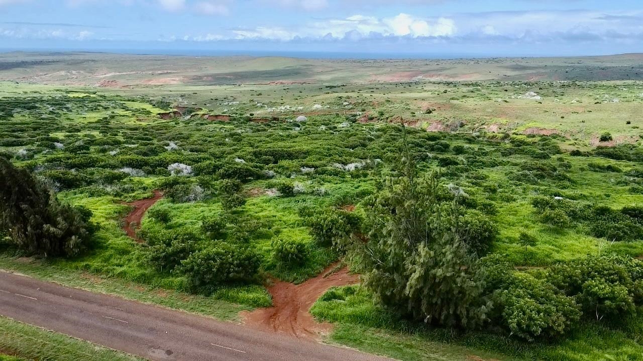 0 Kalua Koi Rd 56 Maunaloa, Hi vacant land for sale - photo 20 of 27