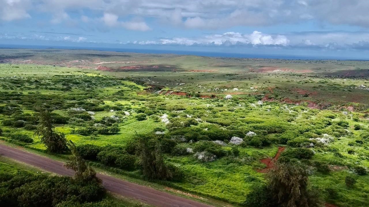 0 Kalua Koi Rd 56 Maunaloa, Hi vacant land for sale - photo 3 of 27