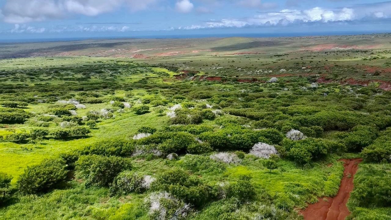 0 Kalua Koi Rd 56 Maunaloa, Hi vacant land for sale - photo 21 of 27