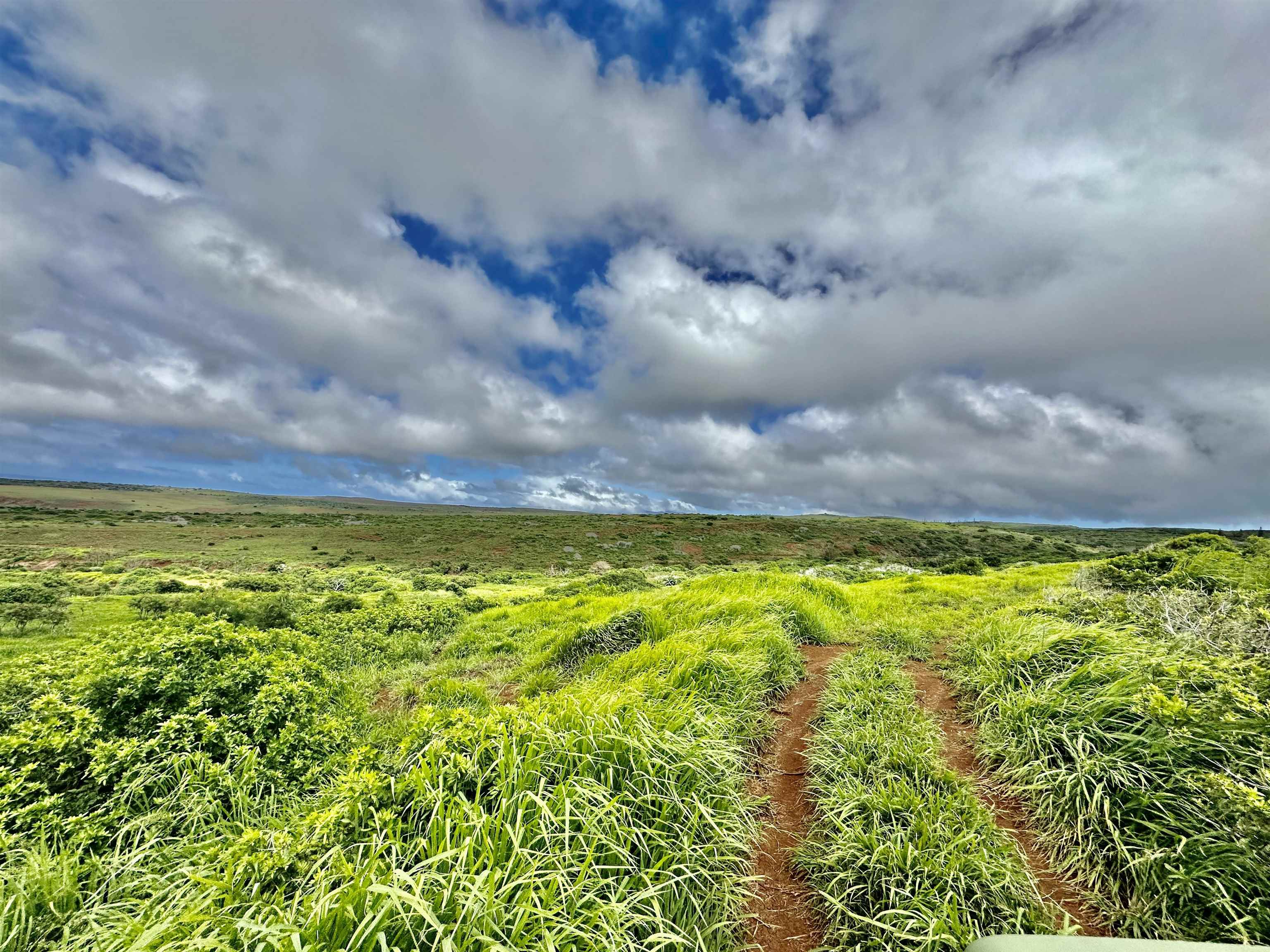 0 Kalua Koi Rd 56 Maunaloa, Hi vacant land for sale - photo 22 of 27