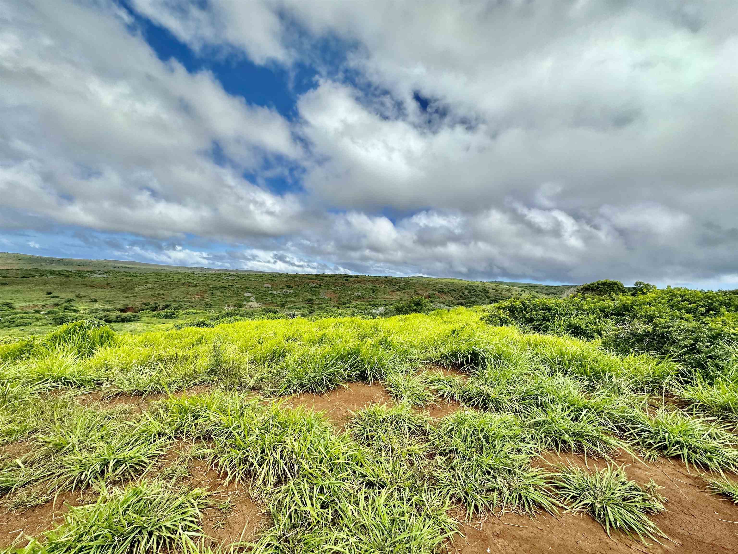 0 Kalua Koi Rd 56 Maunaloa, Hi vacant land for sale - photo 23 of 27