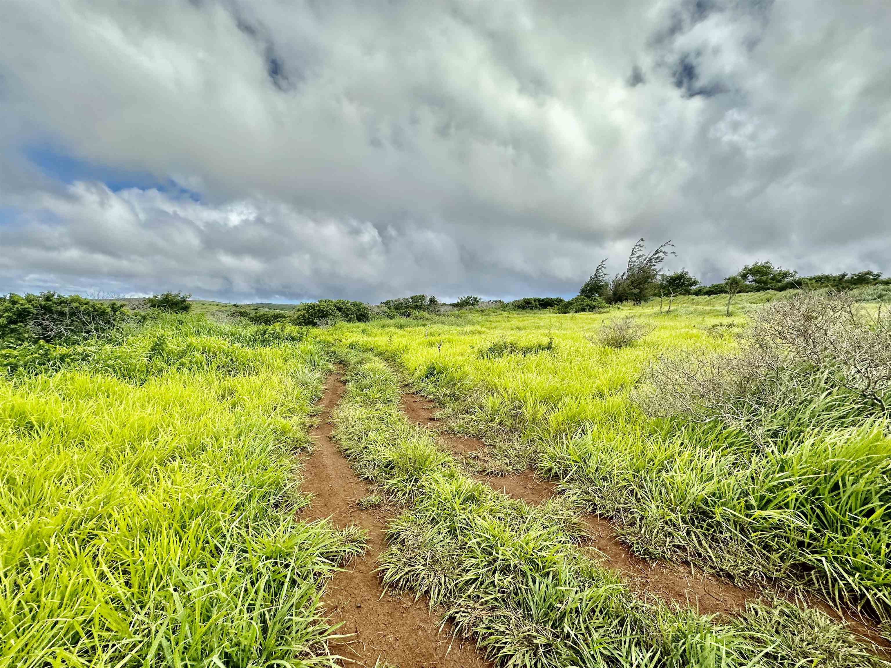 0 Kalua Koi Rd 56 Maunaloa, Hi vacant land for sale - photo 24 of 27