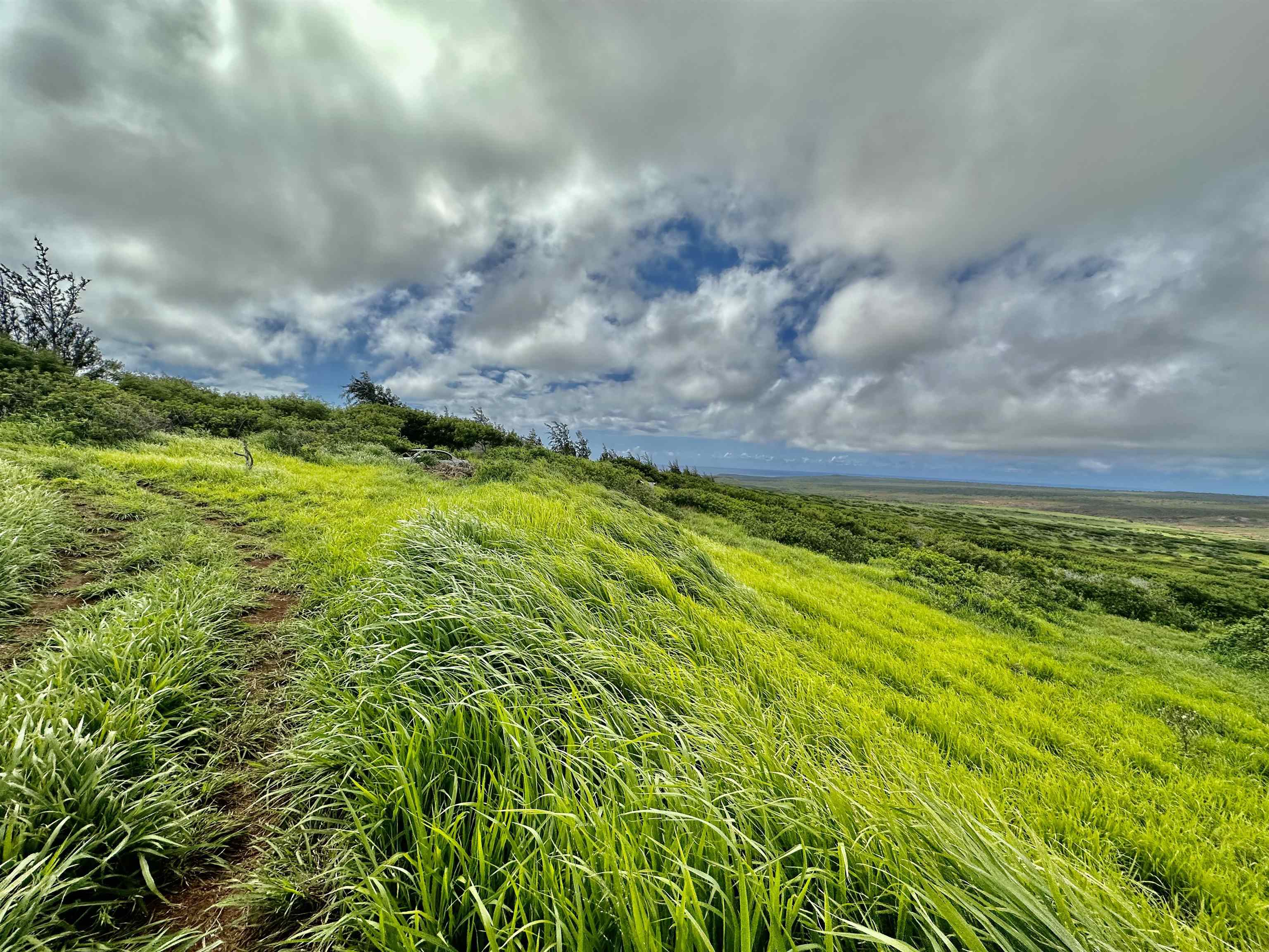 0 Kalua Koi Rd 56 Maunaloa, Hi vacant land for sale - photo 25 of 27