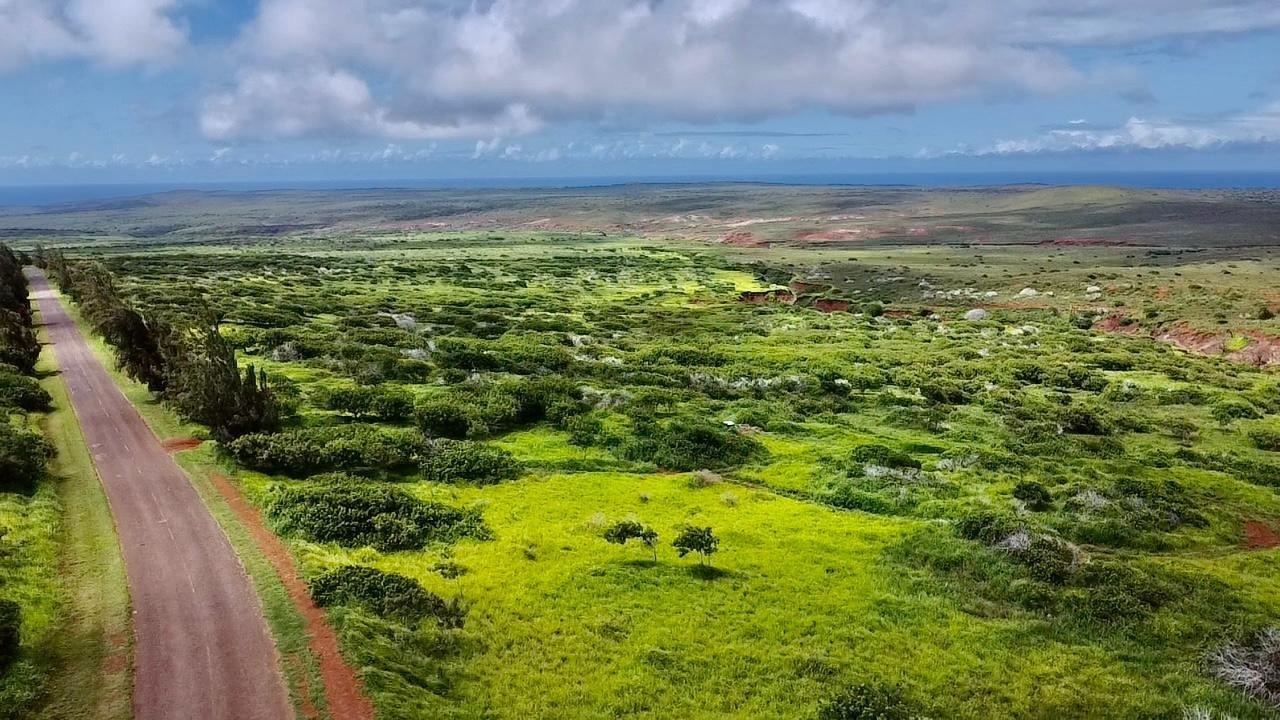 0 Kalua Koi Rd 56 Maunaloa, Hi vacant land for sale - photo 4 of 27