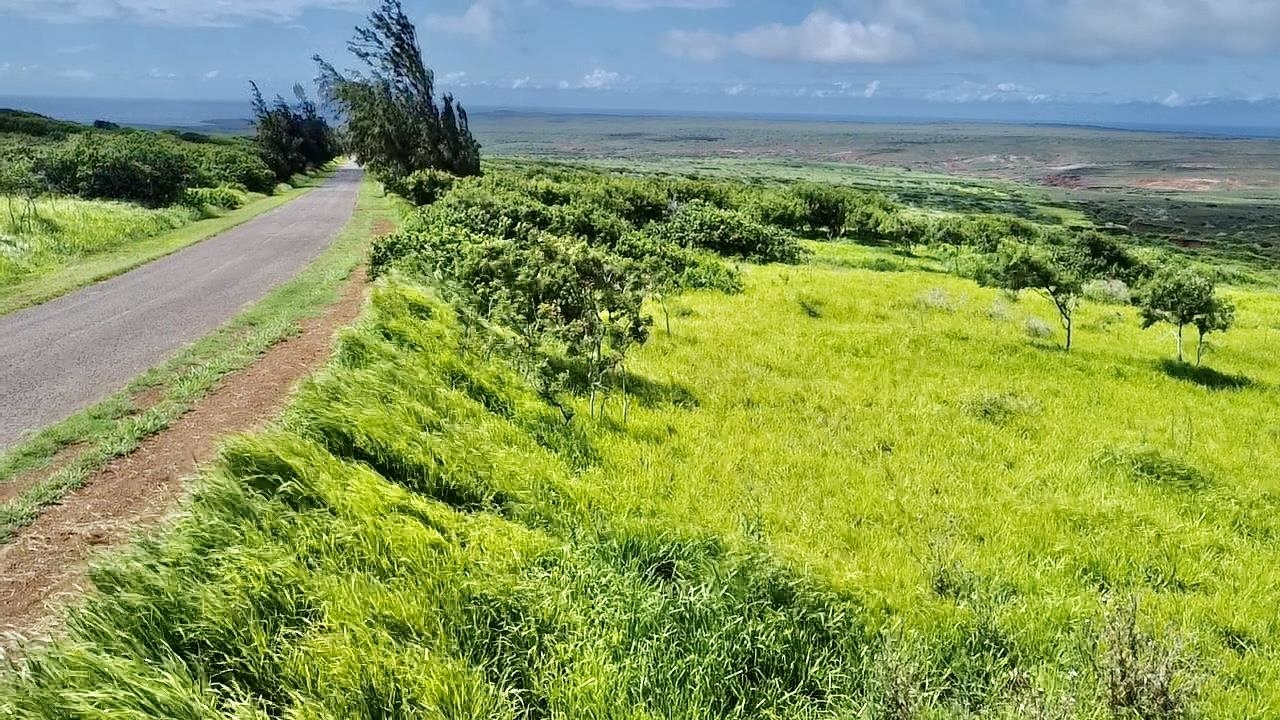0 Kalua Koi Rd 56 Maunaloa, Hi vacant land for sale - photo 5 of 27