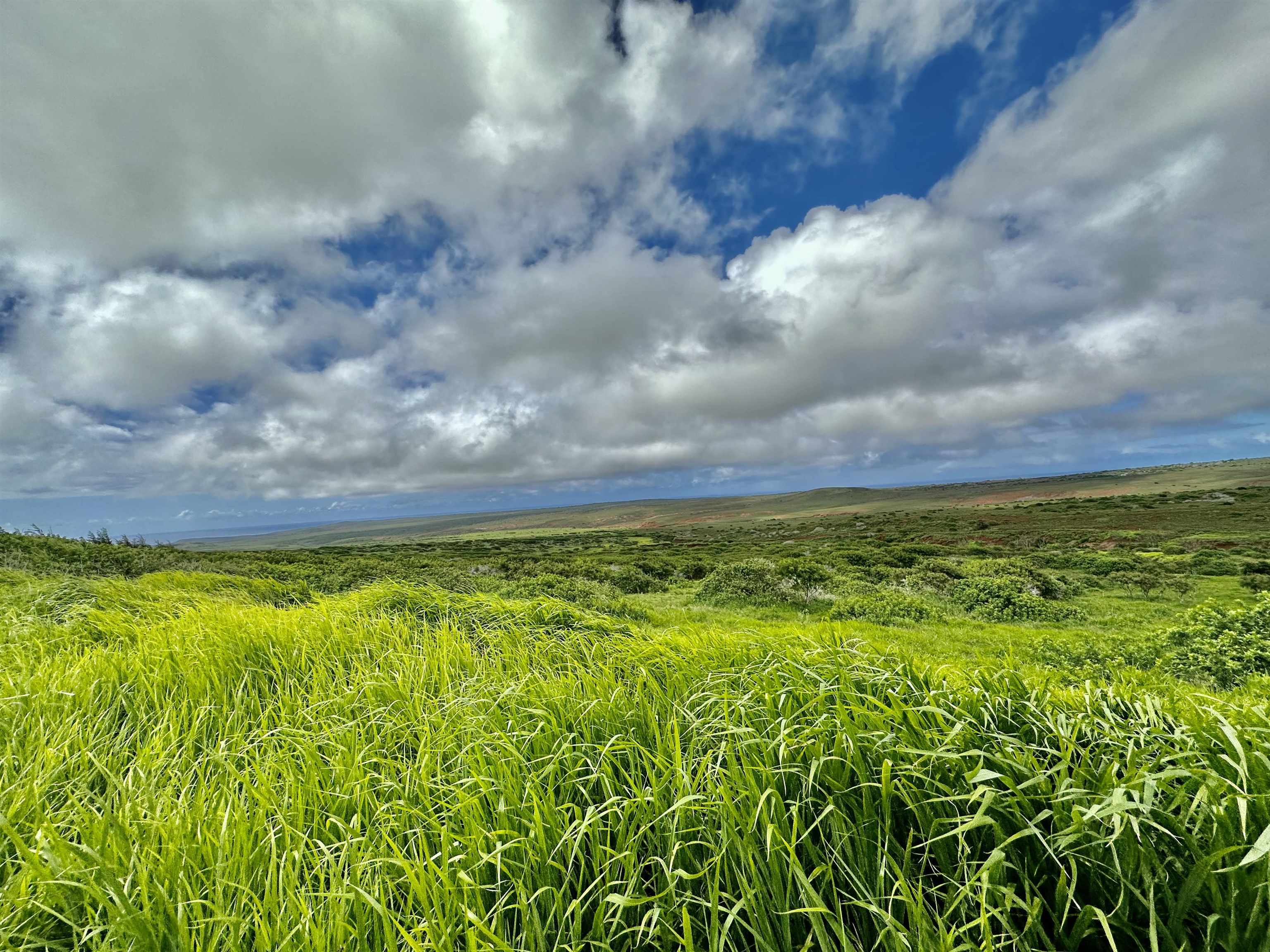 0 Kalua Koi Rd 56 Maunaloa, Hi vacant land for sale - photo 6 of 27