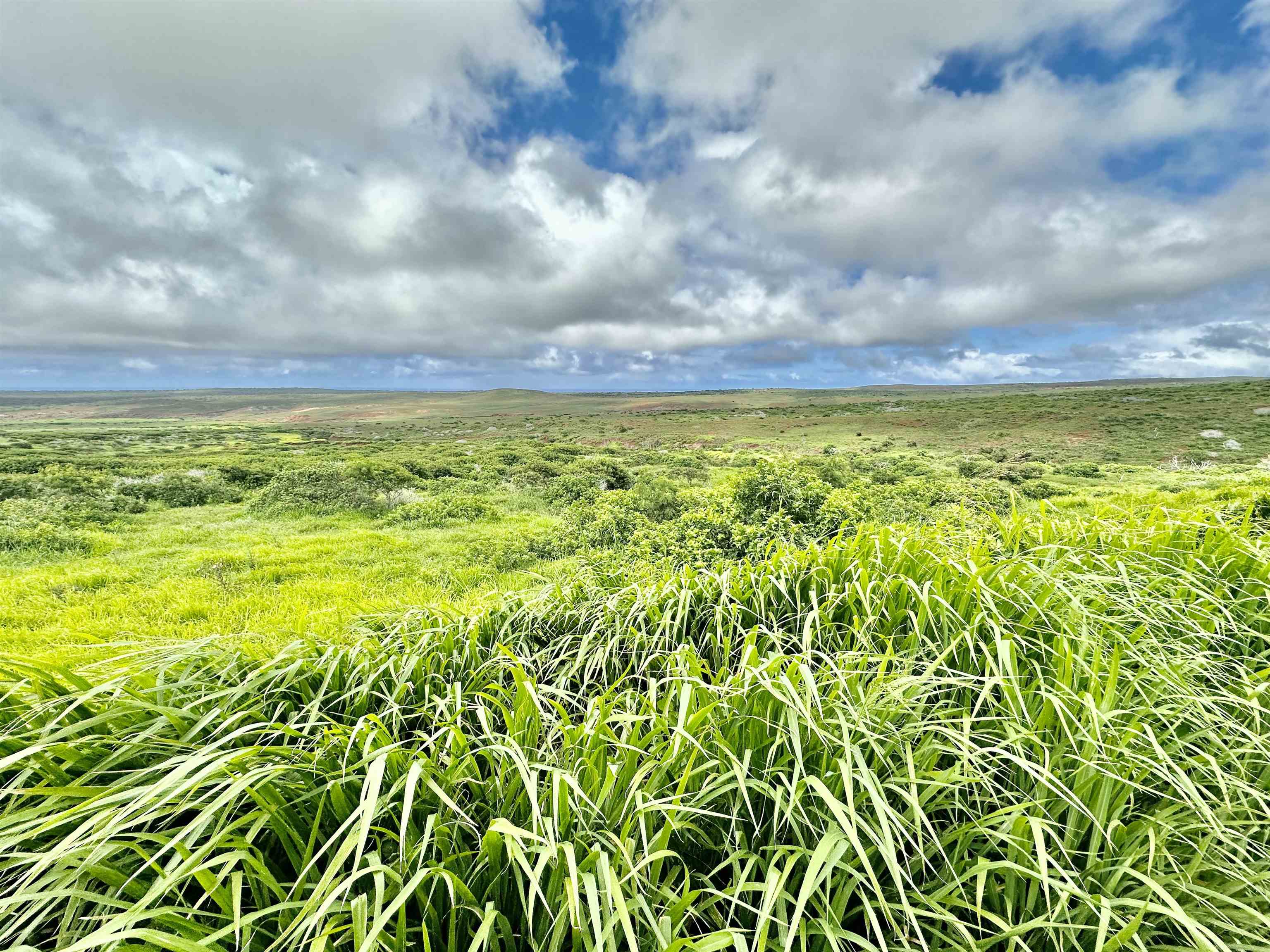 0 Kalua Koi Rd 56 Maunaloa, Hi vacant land for sale - photo 7 of 27