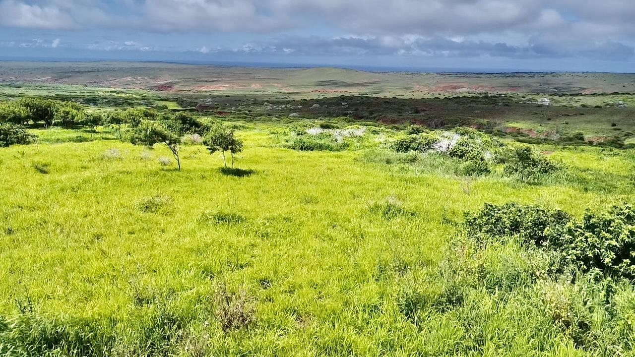0 Kalua Koi Rd 56 Maunaloa, Hi vacant land for sale - photo 10 of 27