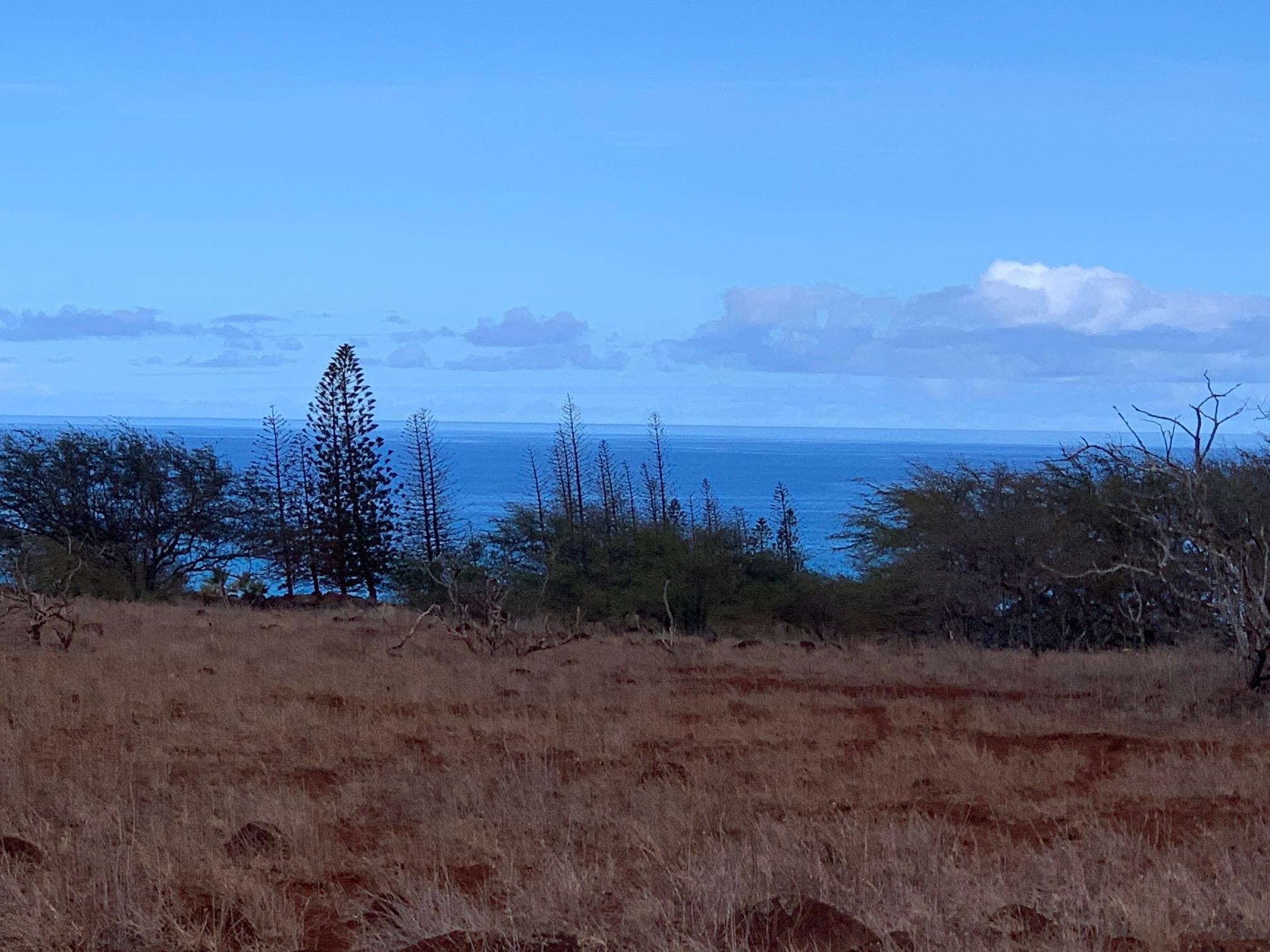0 Kalua Koi Rd Lot 251 Maunaloa, Hi vacant land for sale - photo 2 of 14
