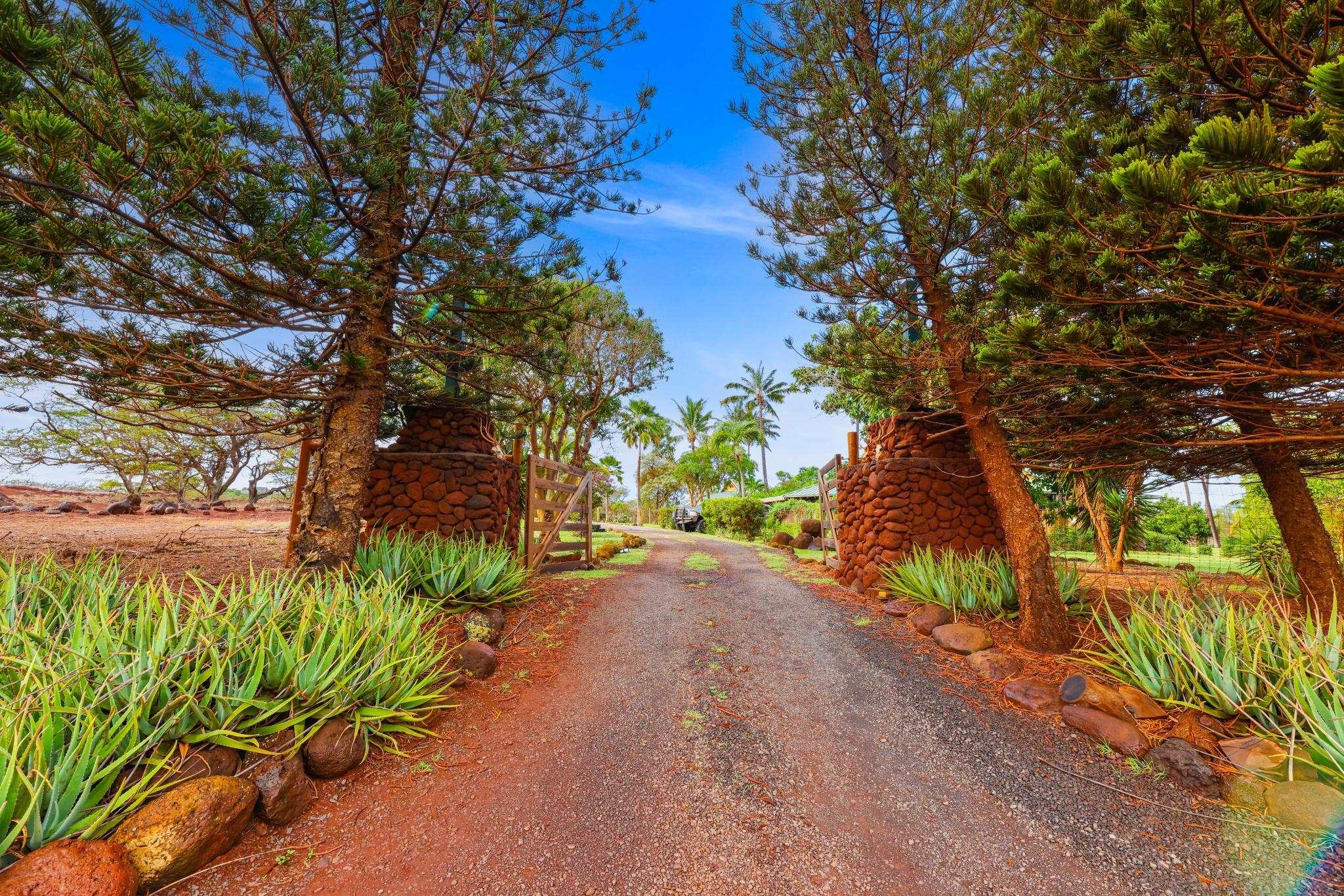 0  Kalua Koi Rd , Molokai home - photo 29 of 50
