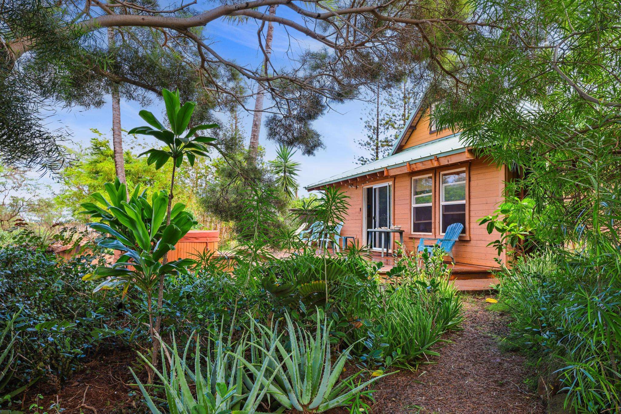 0  Kalua Koi Rd , Molokai home - photo 39 of 50