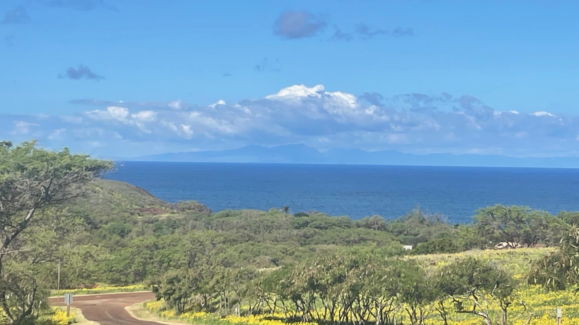 0 Kalua Koi Rd  Maunaloa, Hi vacant land for sale - photo 3 of 13