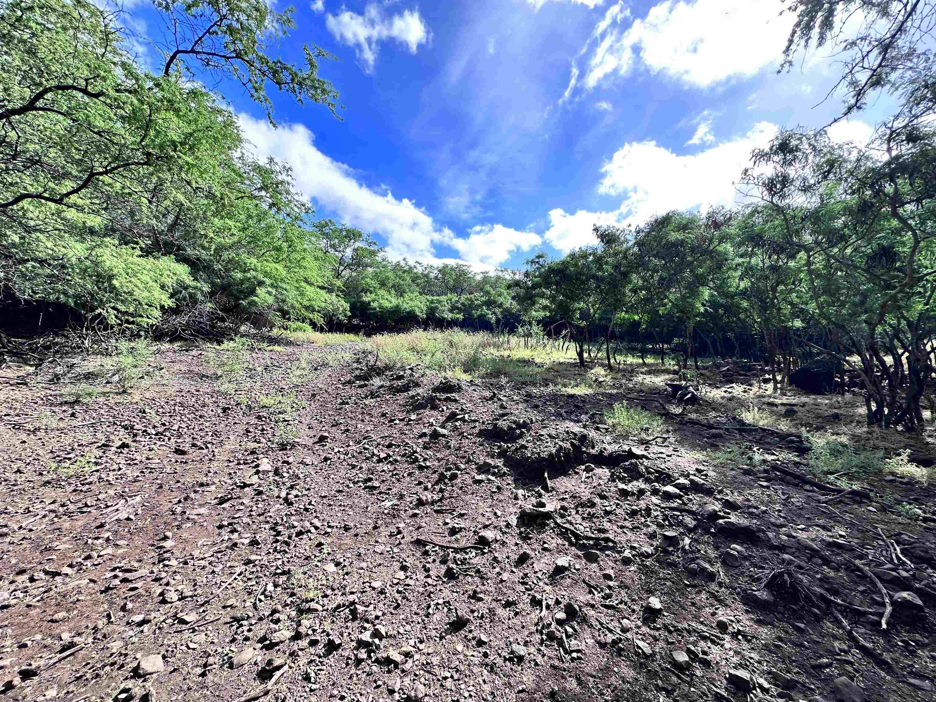 0 Kamehameha V Hwy  Kaunakakai, Hi vacant land for sale - photo 12 of 22
