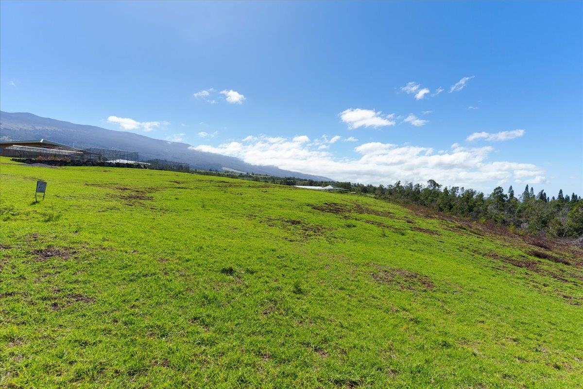 Kamehameiki Rd  Kula, Hi vacant land for sale - photo 8 of 15