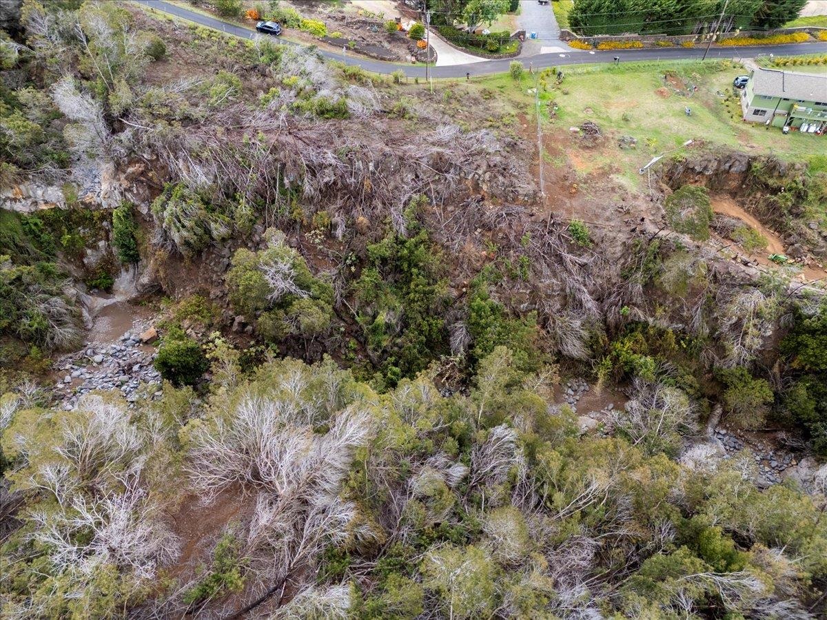 0 Kamehameiki Rd  Kula, Hi vacant land for sale - photo 18 of 27