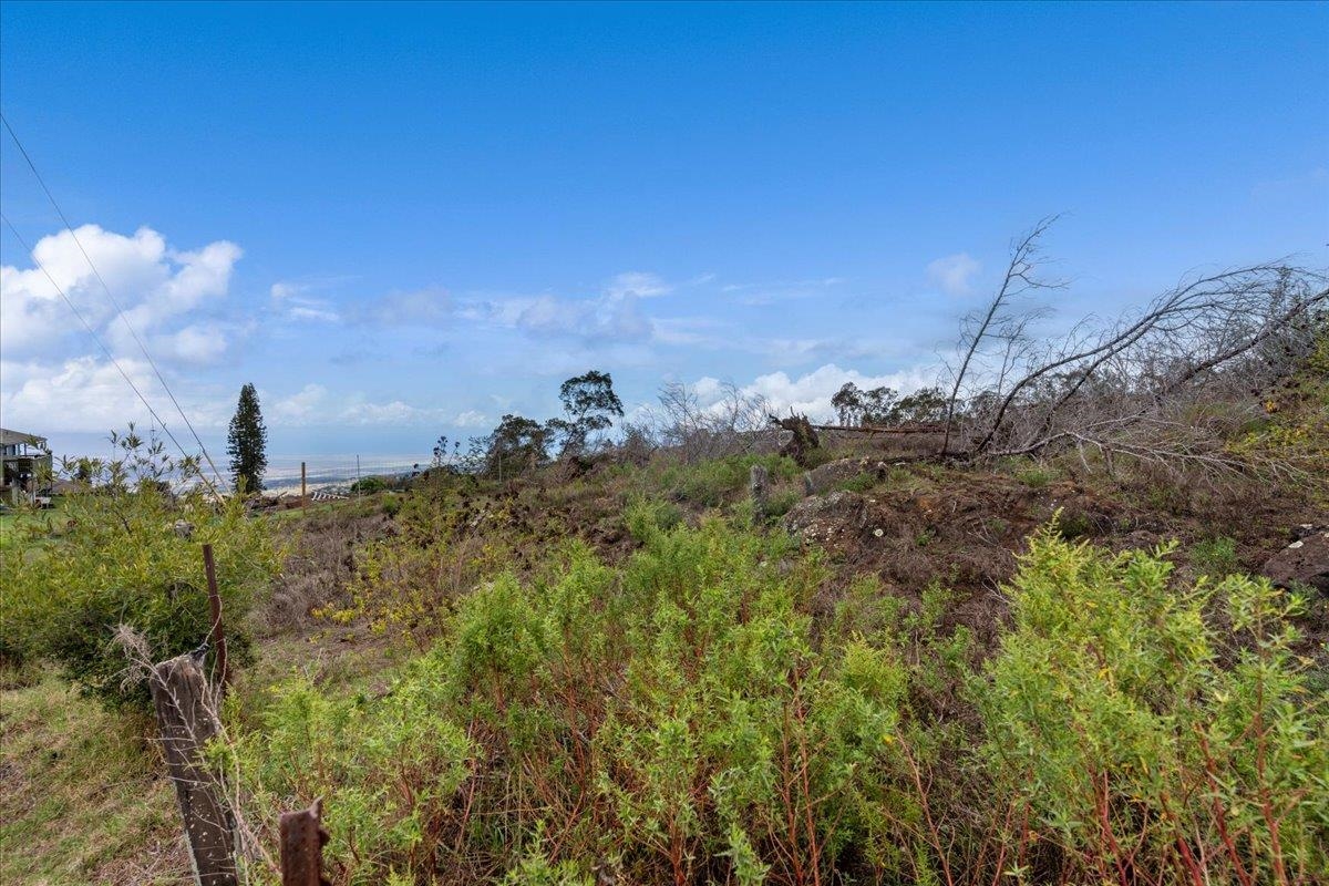 0 Kamehameiki Rd  Kula, Hi vacant land for sale - photo 19 of 27