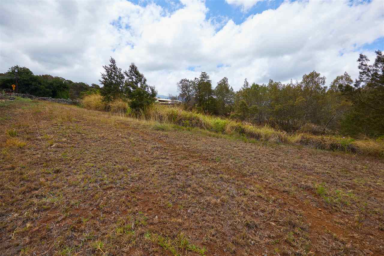 0 Kamehameiki Rd Lot C-1 Kula, Hi vacant land for sale - photo 6 of 17