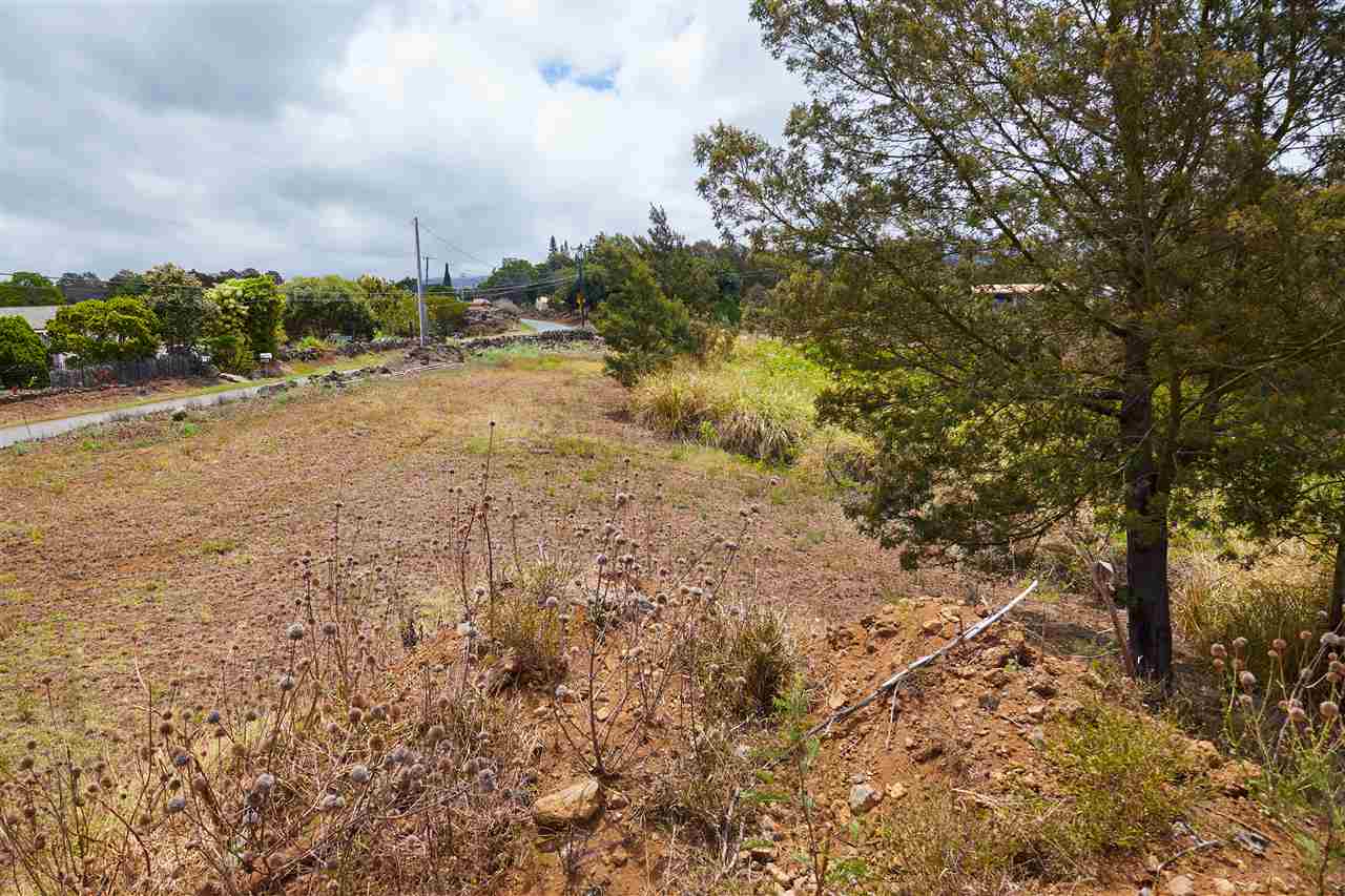 0 Kamehameiki Rd Lot C-1 Kula, Hi vacant land for sale - photo 7 of 17
