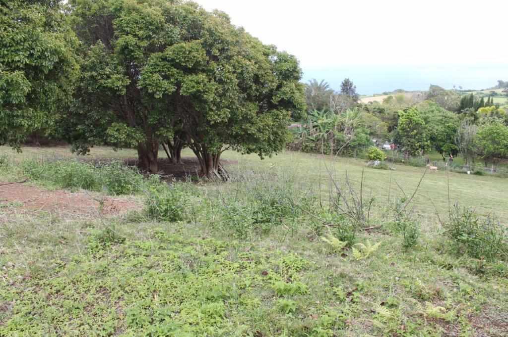 0 Kaukini Loop Lot 1-B-3 Wailuku, Hi vacant land for sale - photo 30 of 30