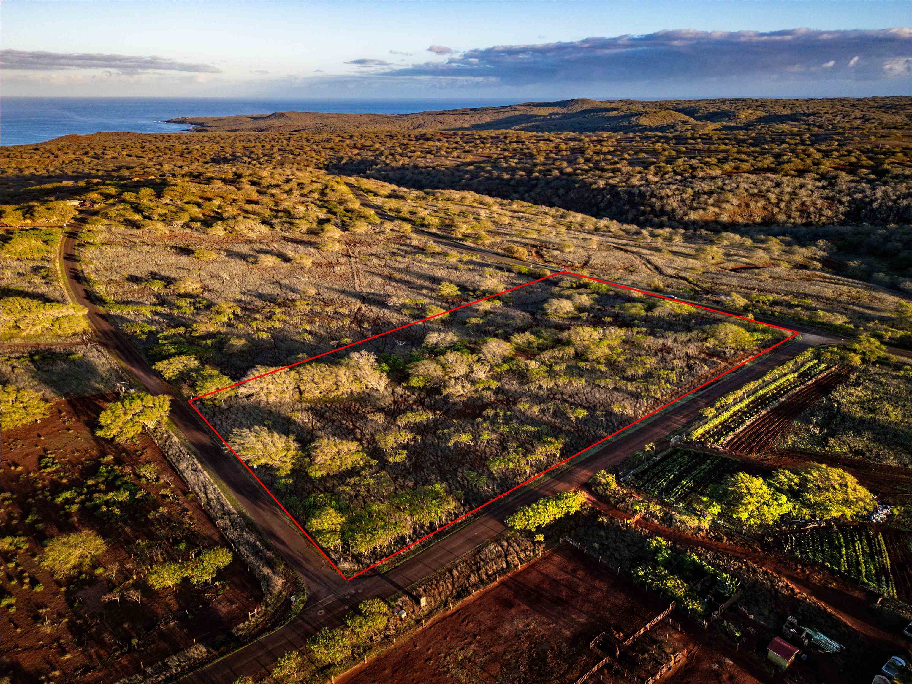 Kaula Rd  Maunaloa, Hi vacant land for sale - photo 2 of 4