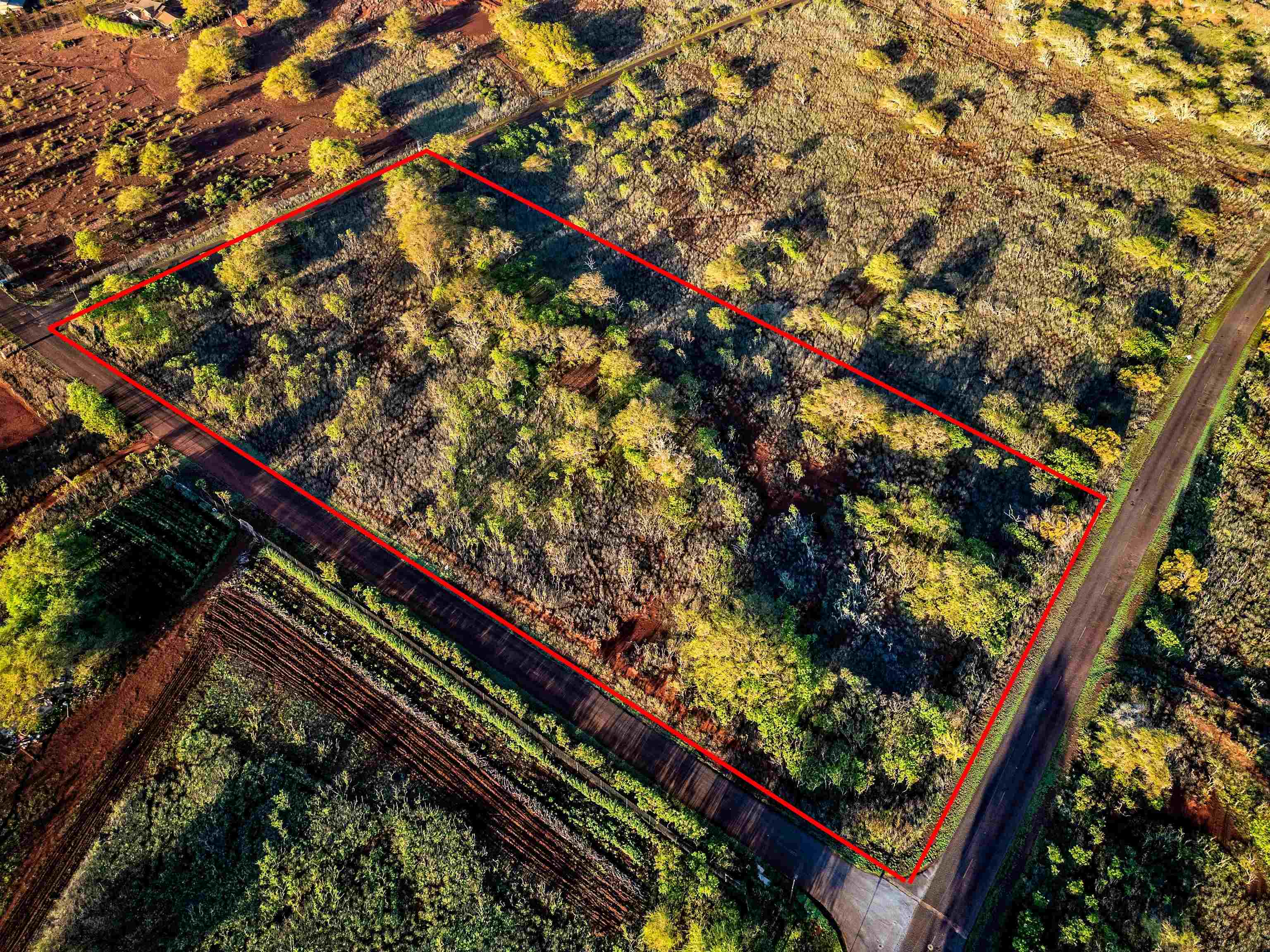 Kaula Rd  Maunaloa, Hi vacant land for sale - photo 4 of 4