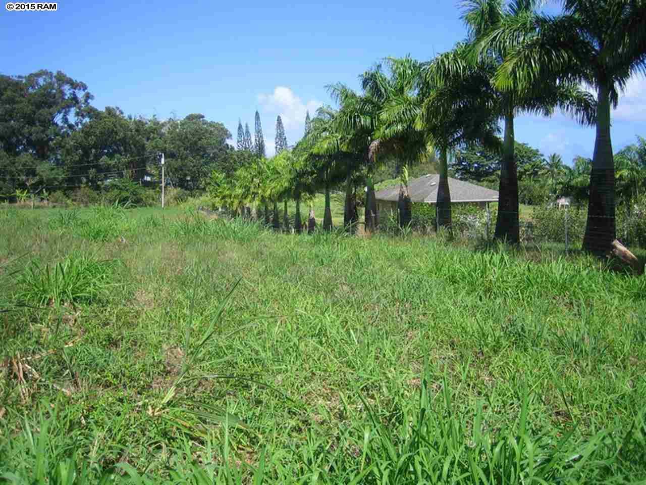 Kaupakalua Rd Lot 15 , Hi vacant land for sale - photo 3 of 9