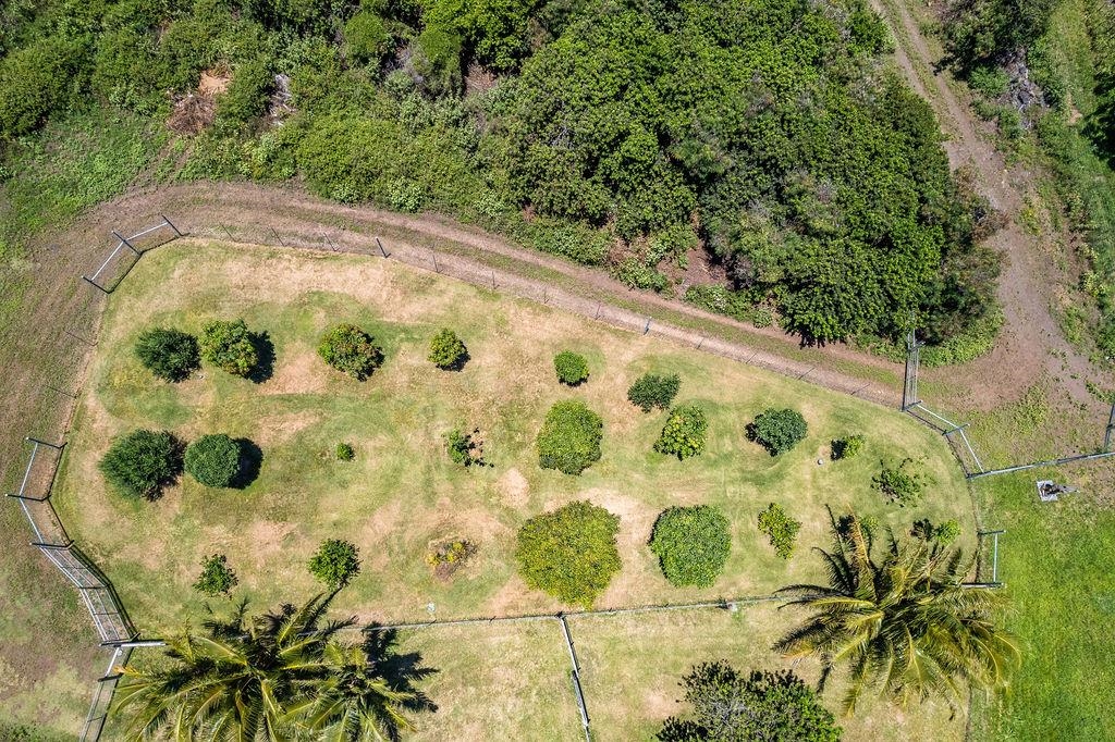 0 Kaupo Rd 0 Kaupo Road Hana, Hi vacant land for sale - photo 24 of 38