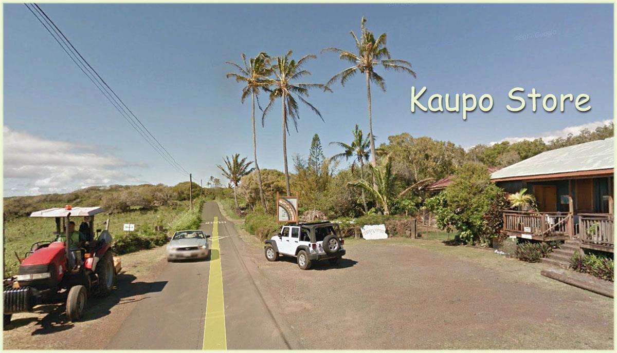 Kaupo Gap Rd  Hana, Hi vacant land for sale - photo 21 of 21