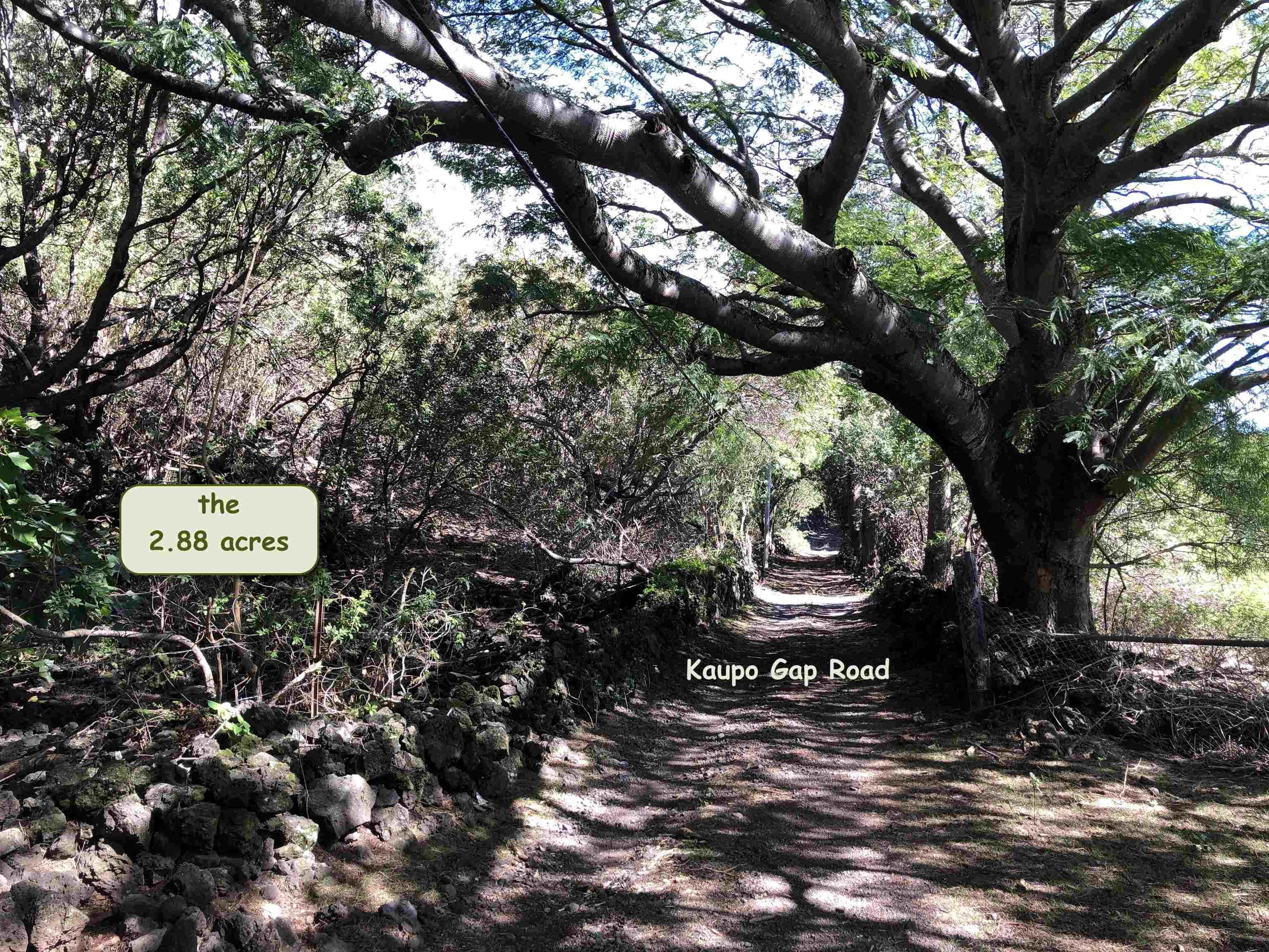 0 Kaupo Gap Rd  Hana, Hi vacant land for sale - photo 2 of 8