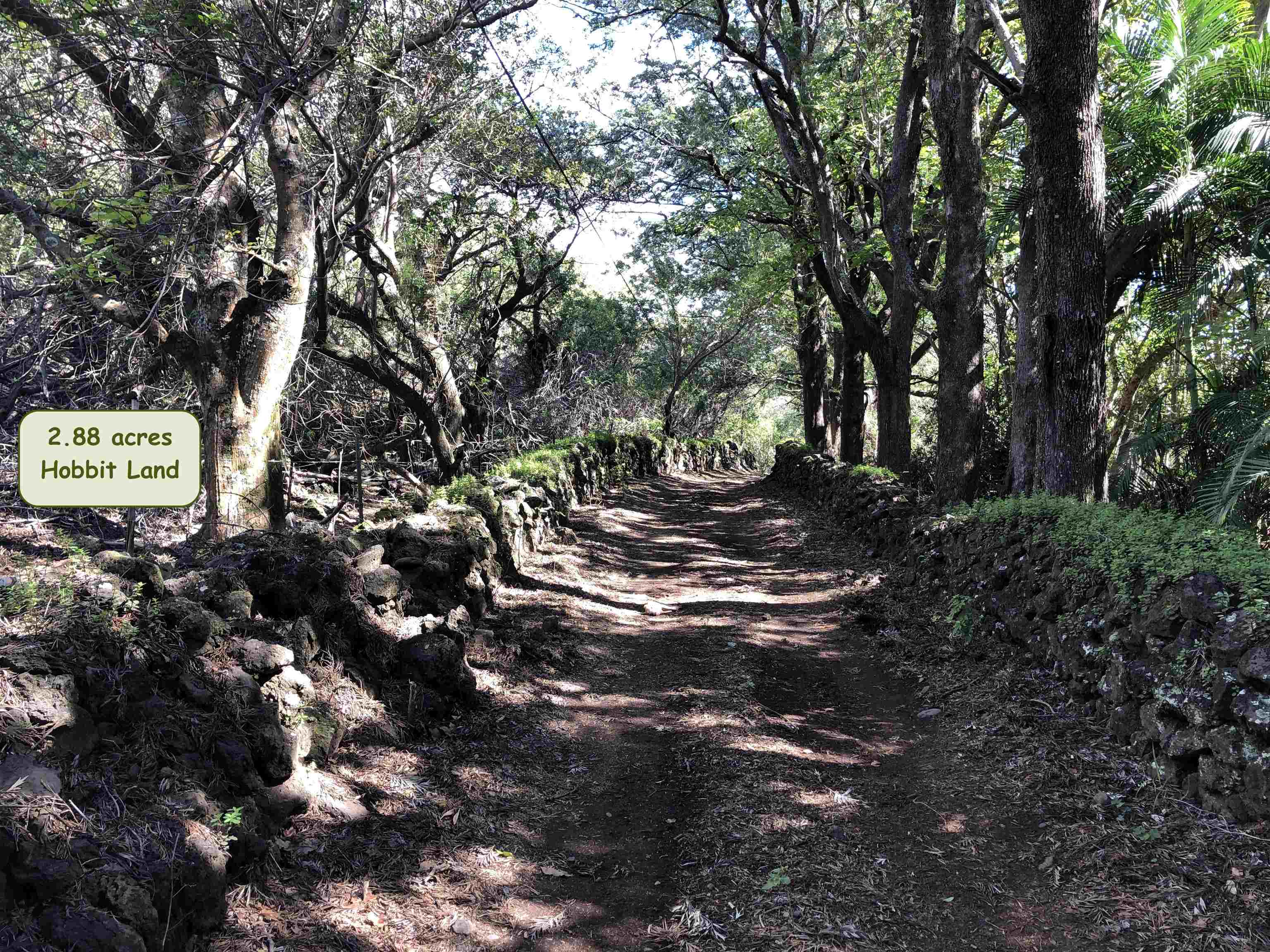 0 Kaupo Gap Rd  Hana, Hi vacant land for sale - photo 3 of 8