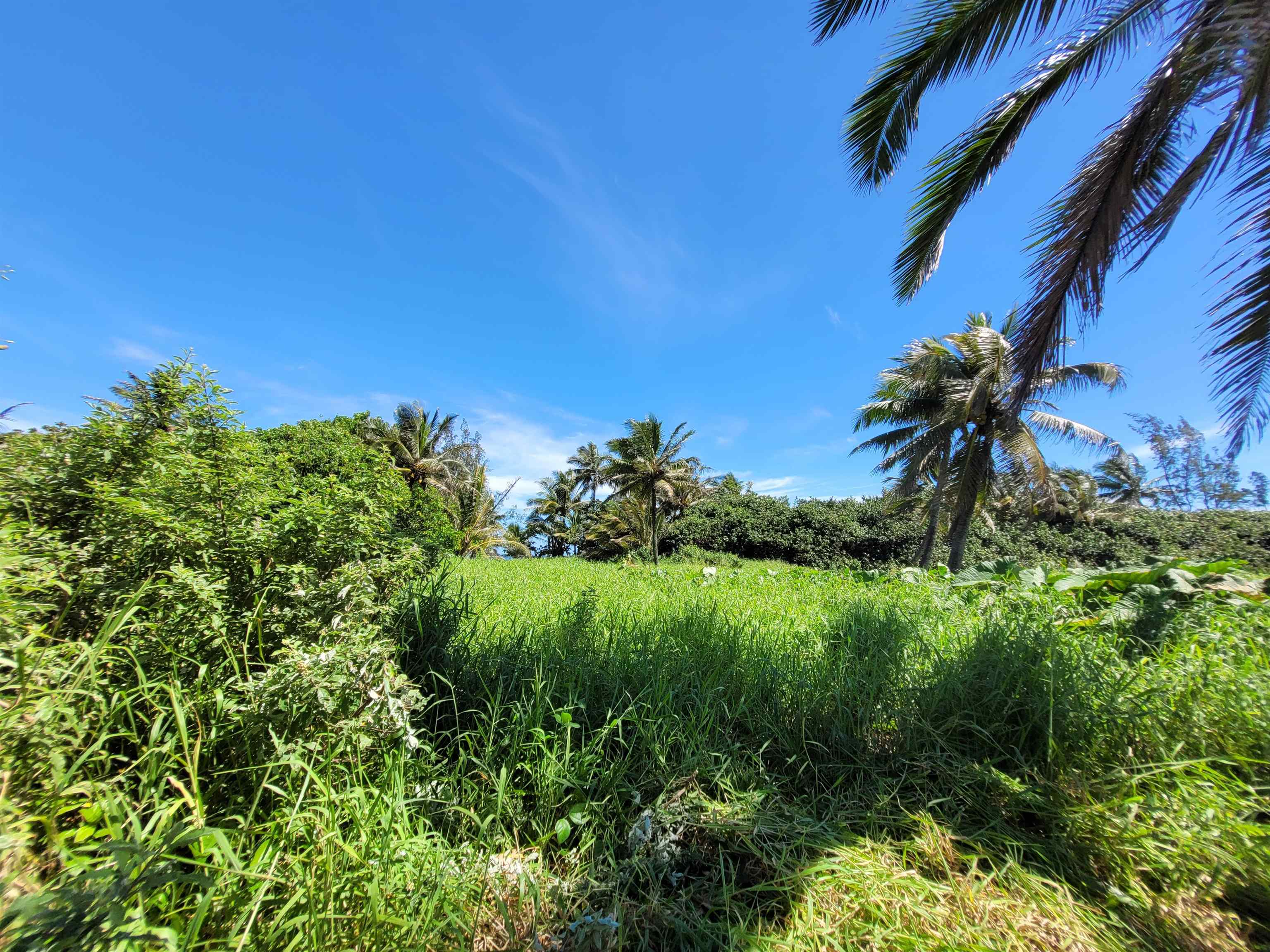 Keanae Rd  Hana, Hi vacant land for sale - photo 12 of 29