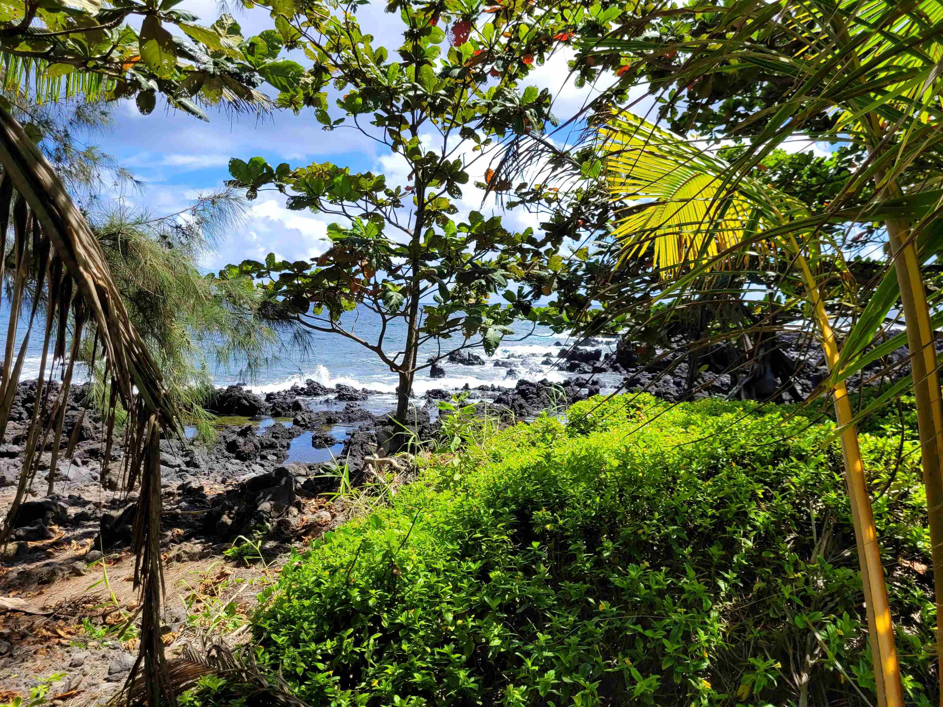 Keanae Rd  Hana, Hi vacant land for sale - photo 19 of 29