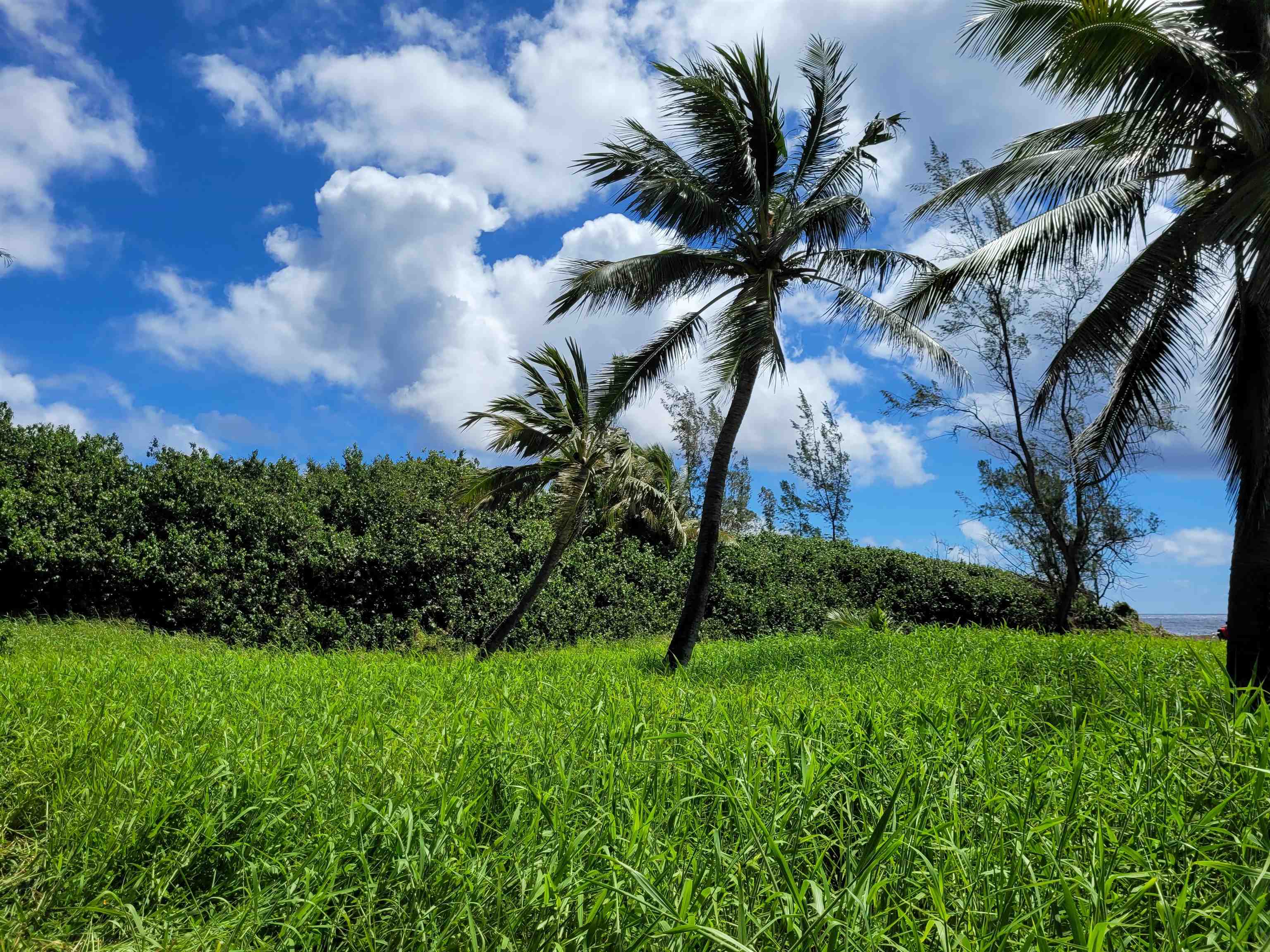 Keanae Rd  Hana, Hi vacant land for sale - photo 24 of 29