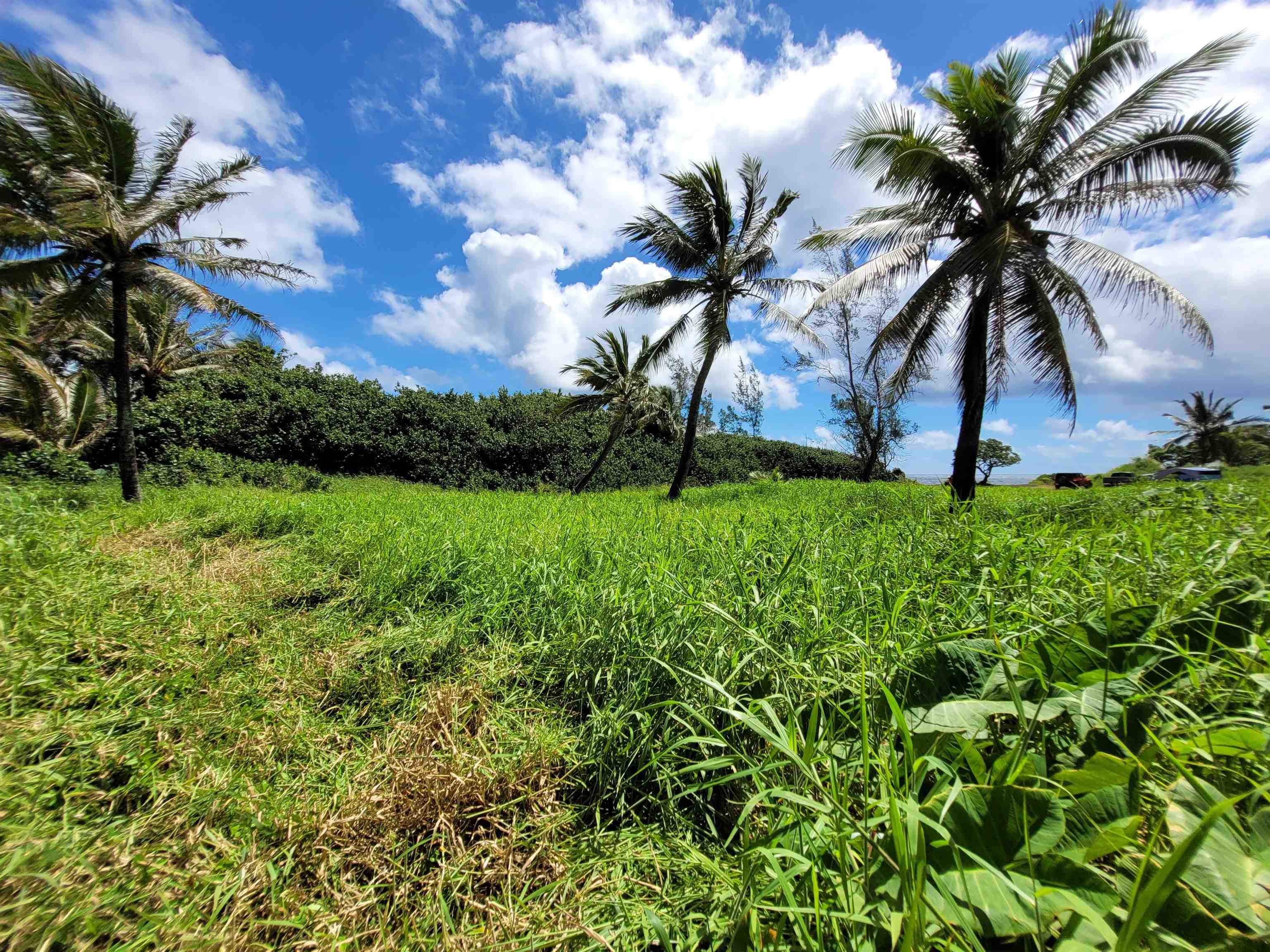 Keanae Rd  Hana, Hi vacant land for sale - photo 25 of 29