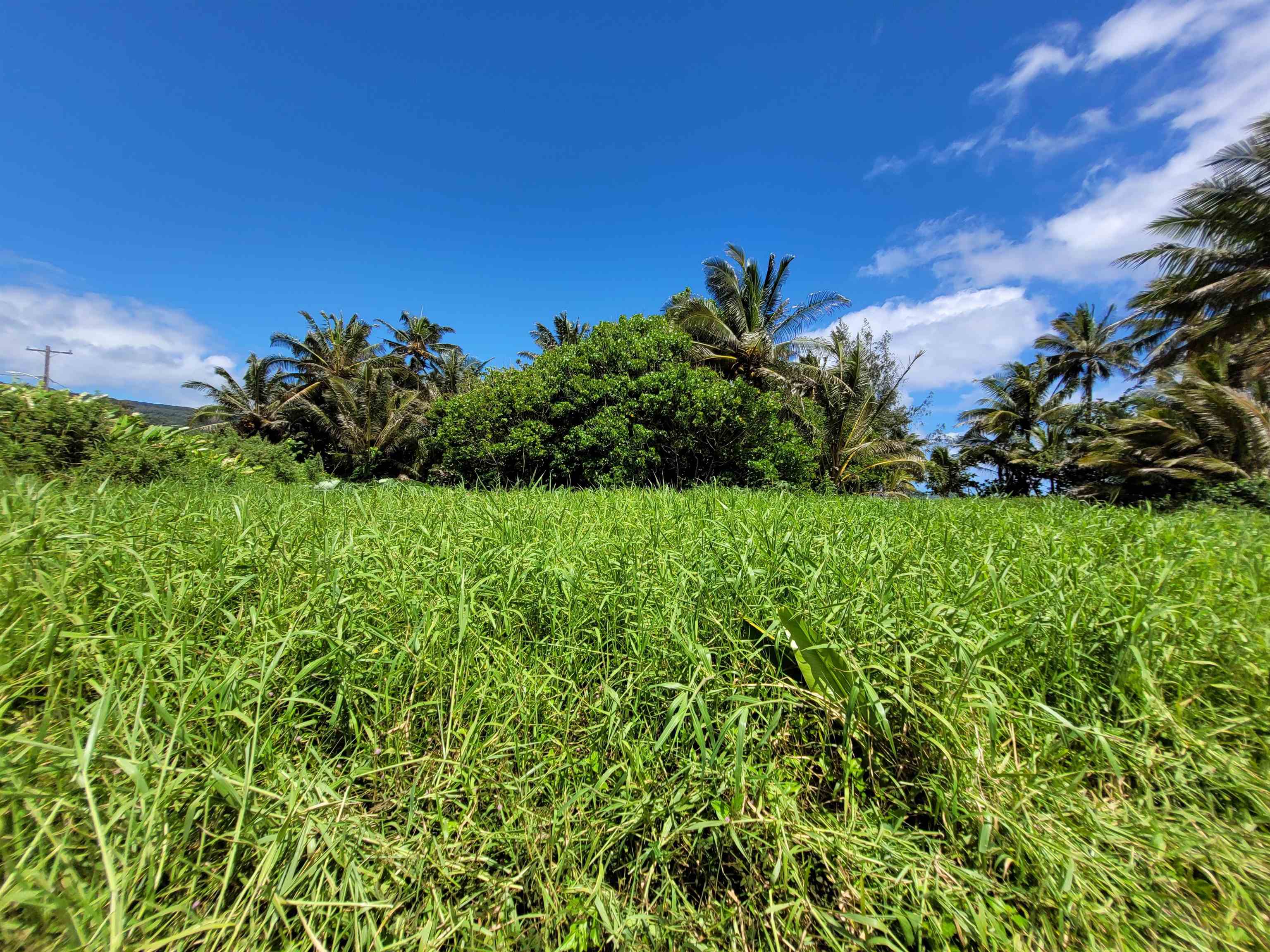 Keanae Rd  Hana, Hi vacant land for sale - photo 27 of 29