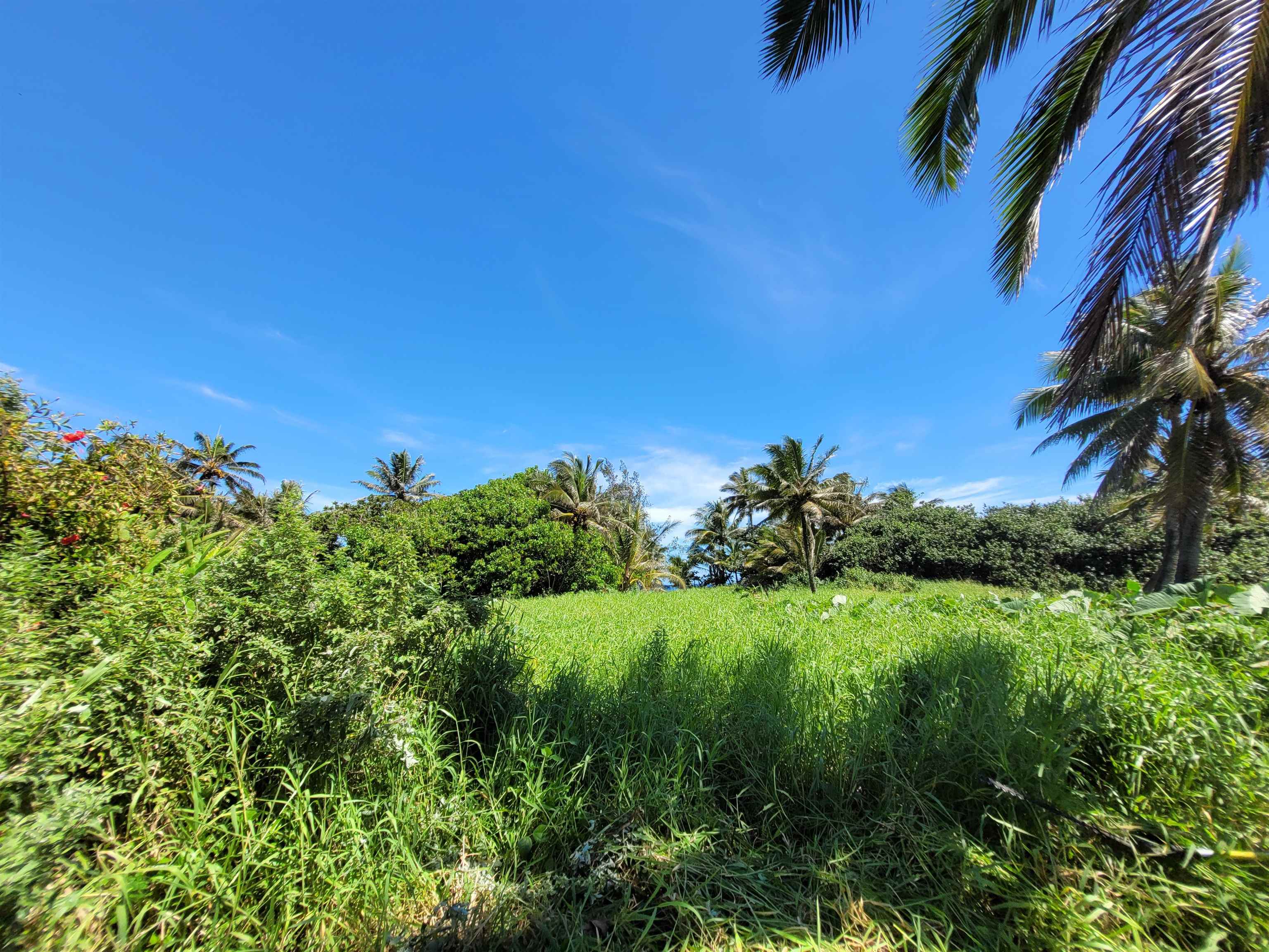 Keanae Rd  Hana, Hi vacant land for sale - photo 28 of 29