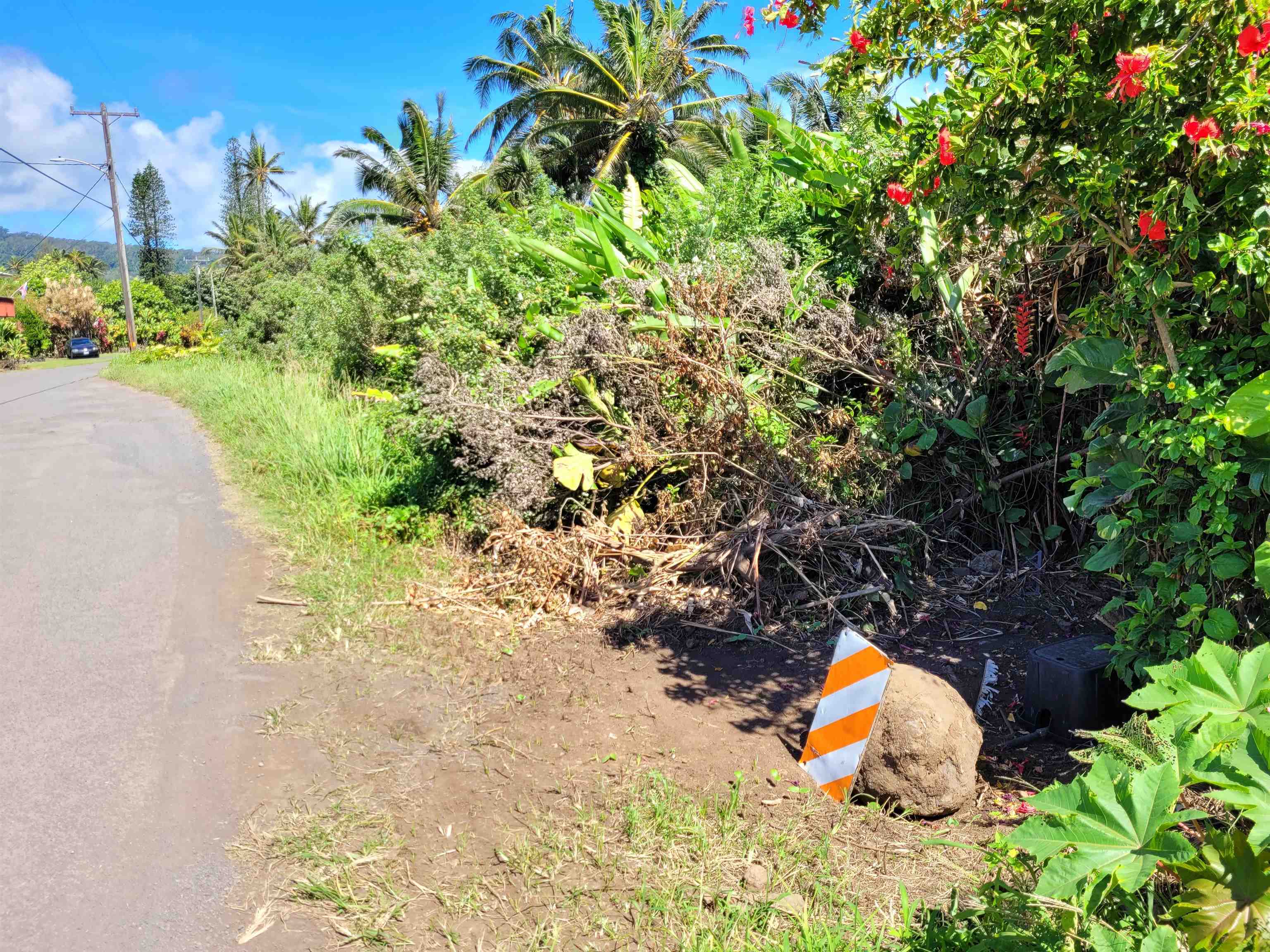 Keanae Rd  Hana, Hi vacant land for sale - photo 4 of 29