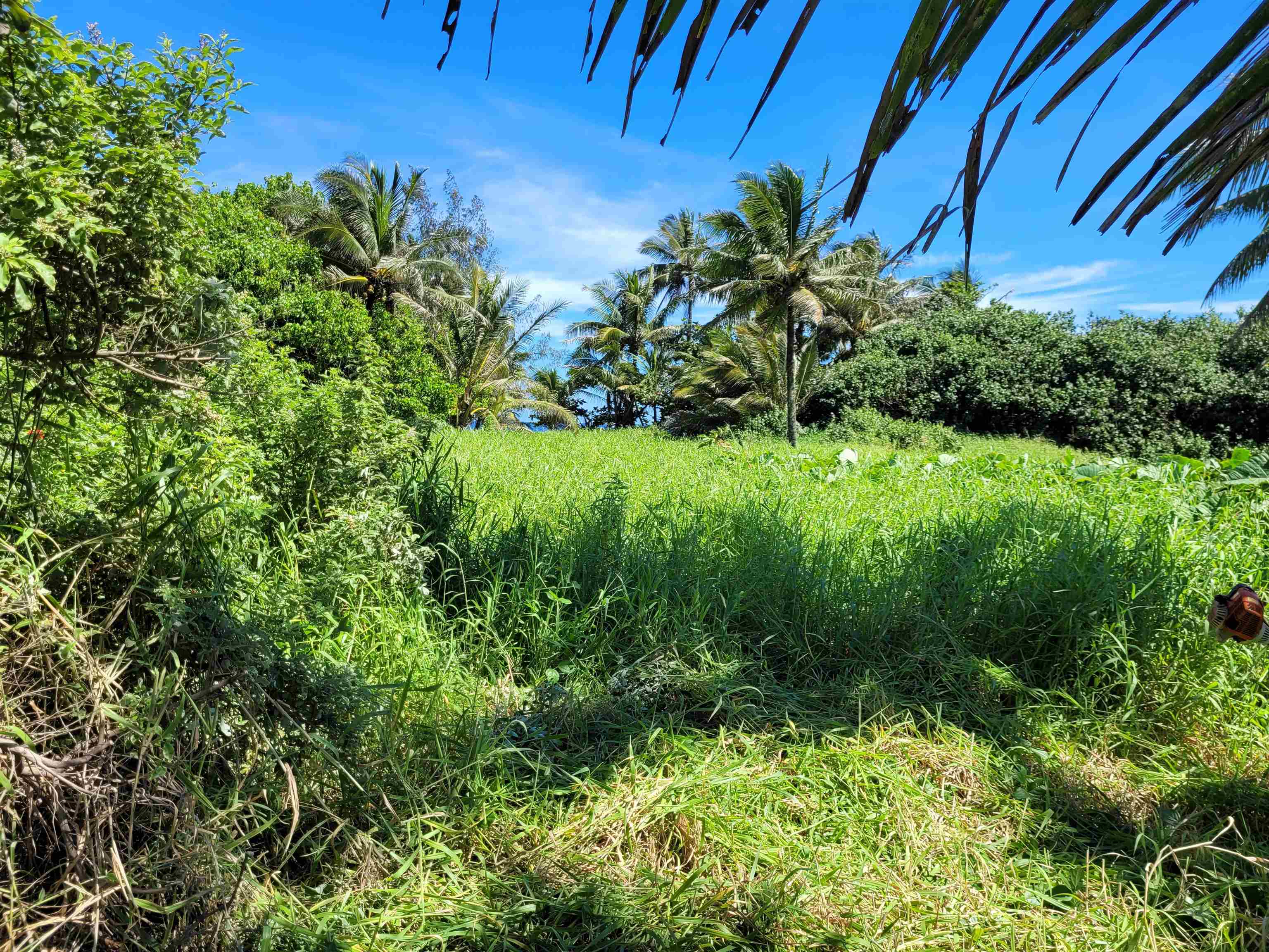 Keanae Rd  Hana, Hi vacant land for sale - photo 8 of 29