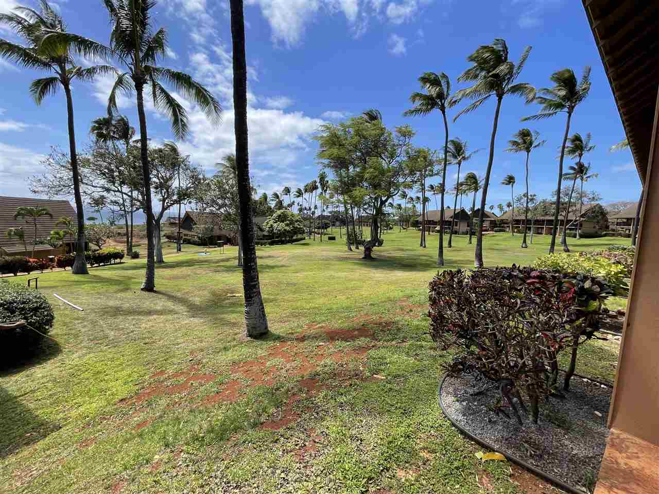 West Molokai Resort condo # 1216/13B06, Maunaloa, Hawaii - photo 3 of 22