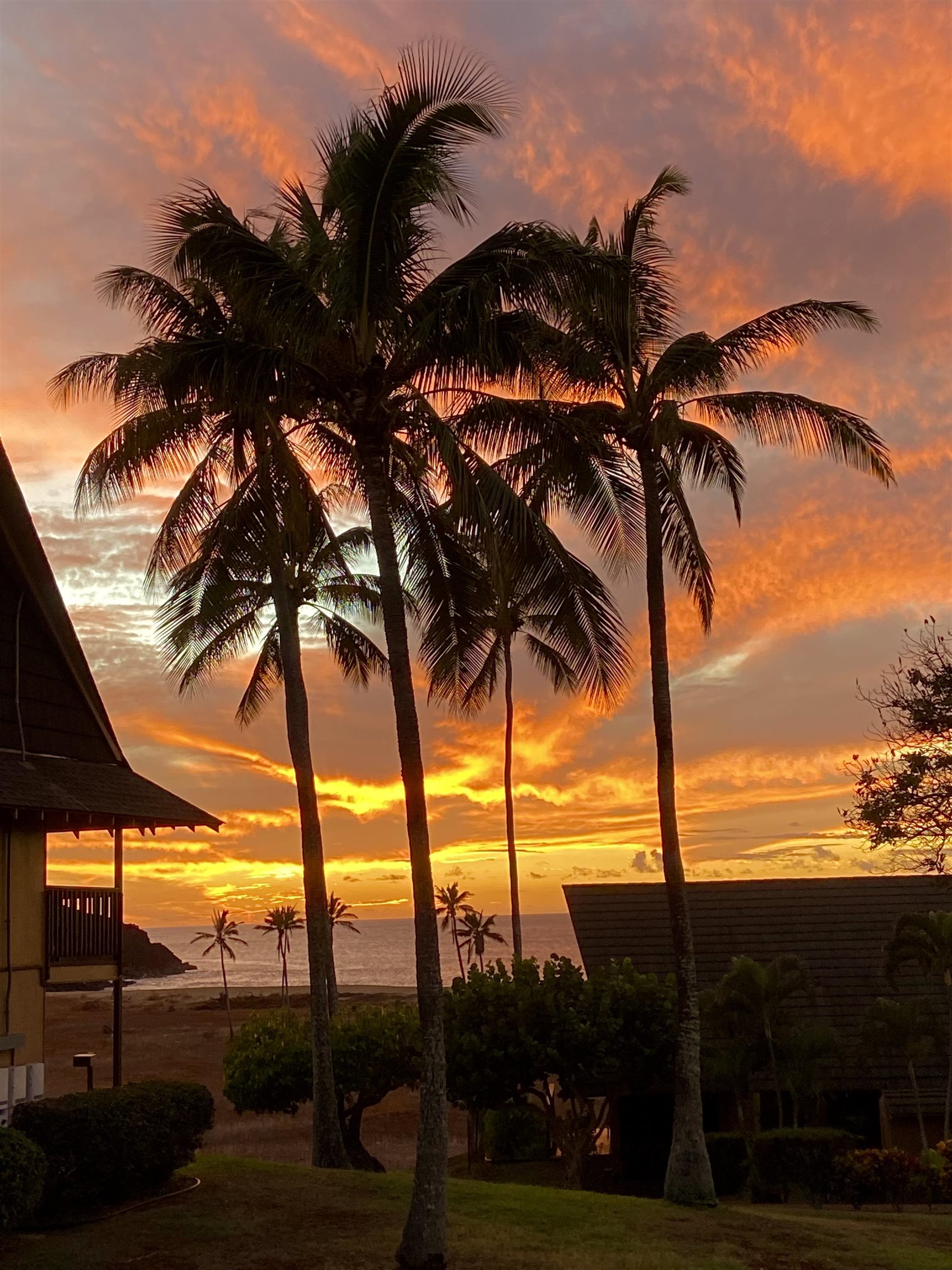 West Molokai Resort condo # 13B03/1213, Maunaloa, Hawaii - photo 12 of 14