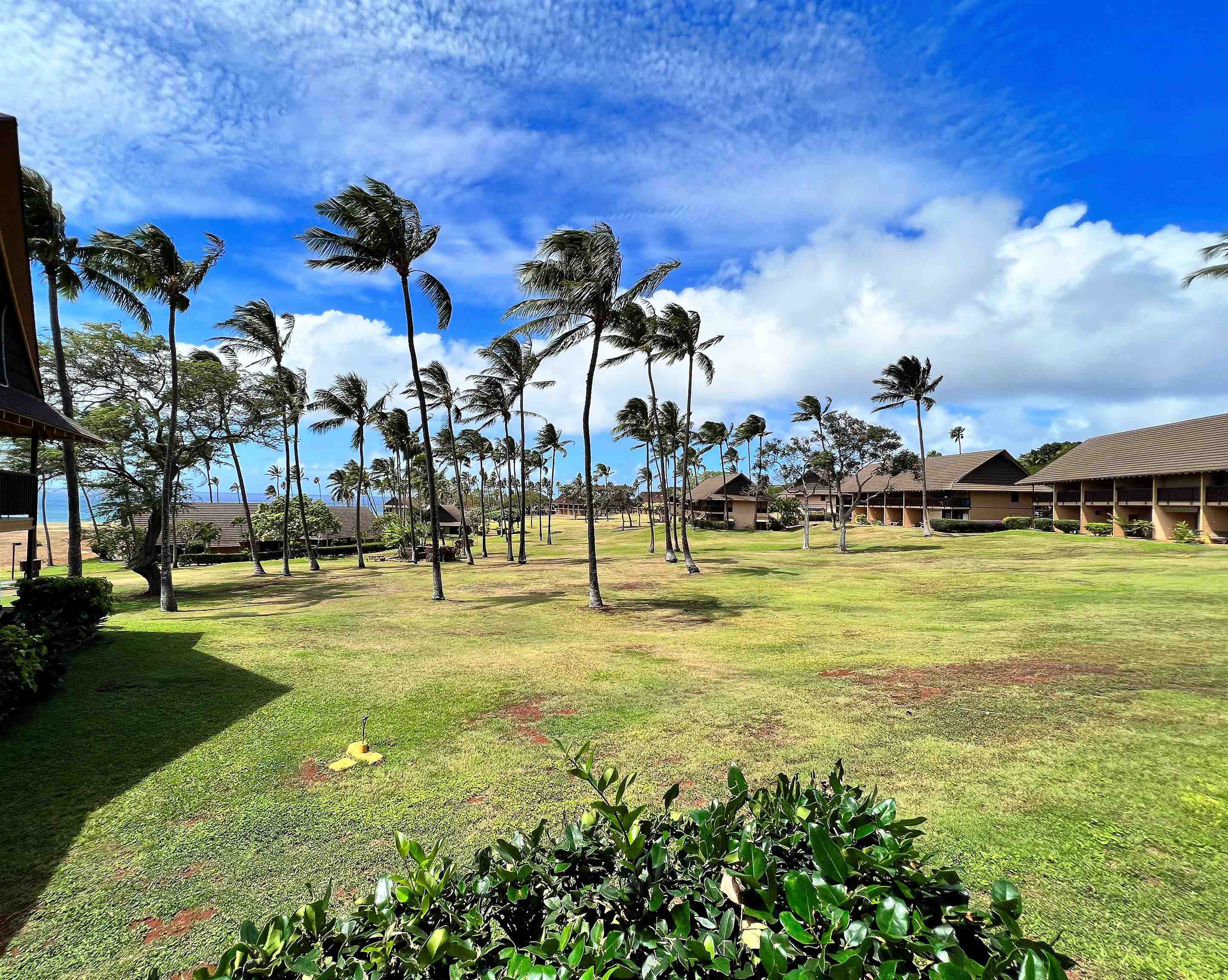 West Molokai Resort condo # 14A04, Maunaloa, Hawaii - photo 7 of 16