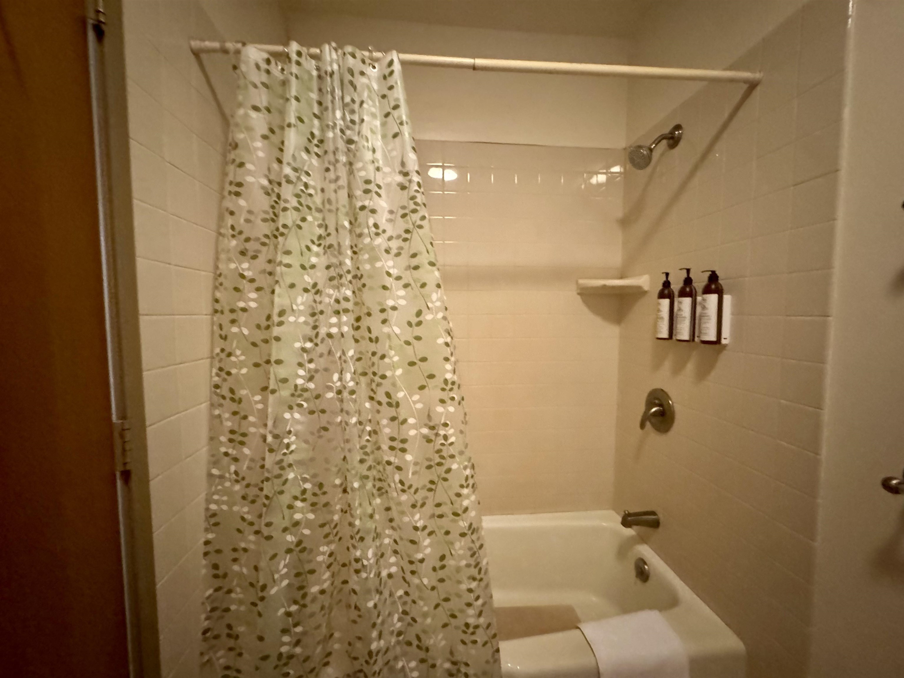 West Molokai Resort condo # 16B02, Maunaloa, Hawaii - photo 11 of 29