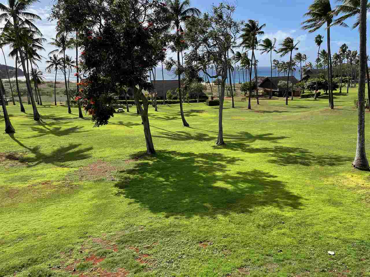 West Molokai Resort condo # 16B10/2184, Maunaloa, Hawaii - photo 16 of 19