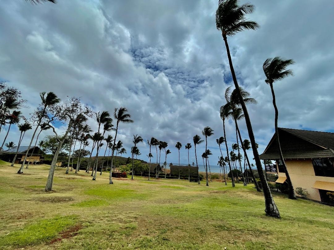West Molokai Resort condo # 17B05, Maunaloa, Hawaii - photo 5 of 25