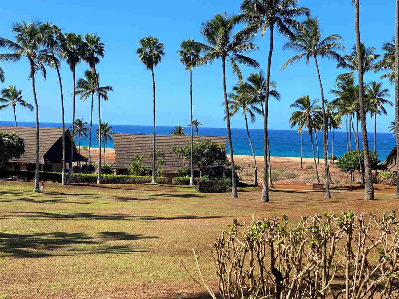 West Molokai Resort condo # 17B06, Maunaloa, Hawaii - photo 8 of 14