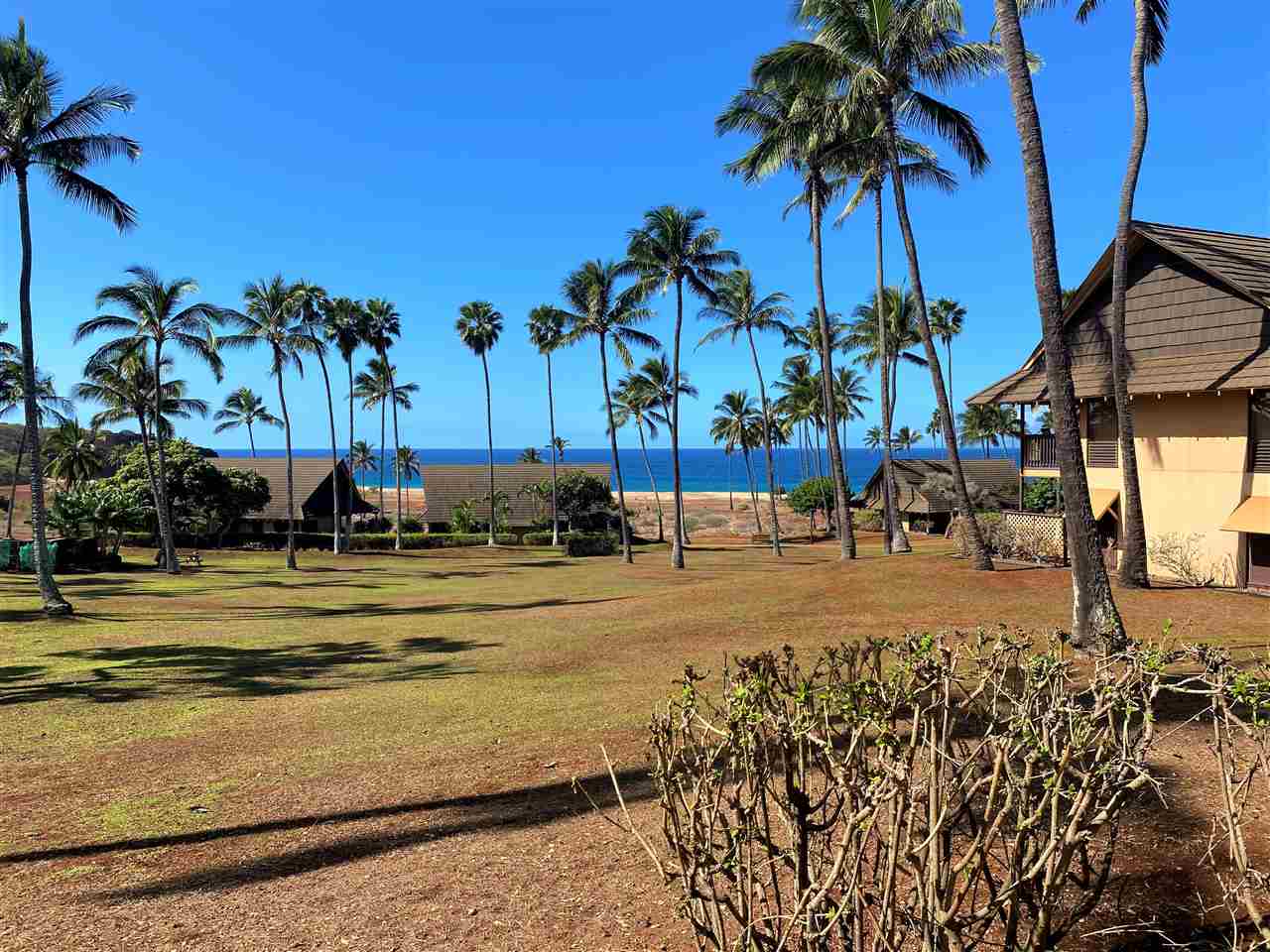 West Molokai Resort condo # 17B06, Maunaloa, Hawaii - photo 10 of 14
