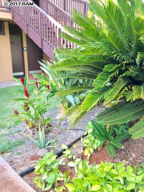 West Molokai Resort condo # 20B05/1145, Maunaloa, Hawaii - photo 18 of 18