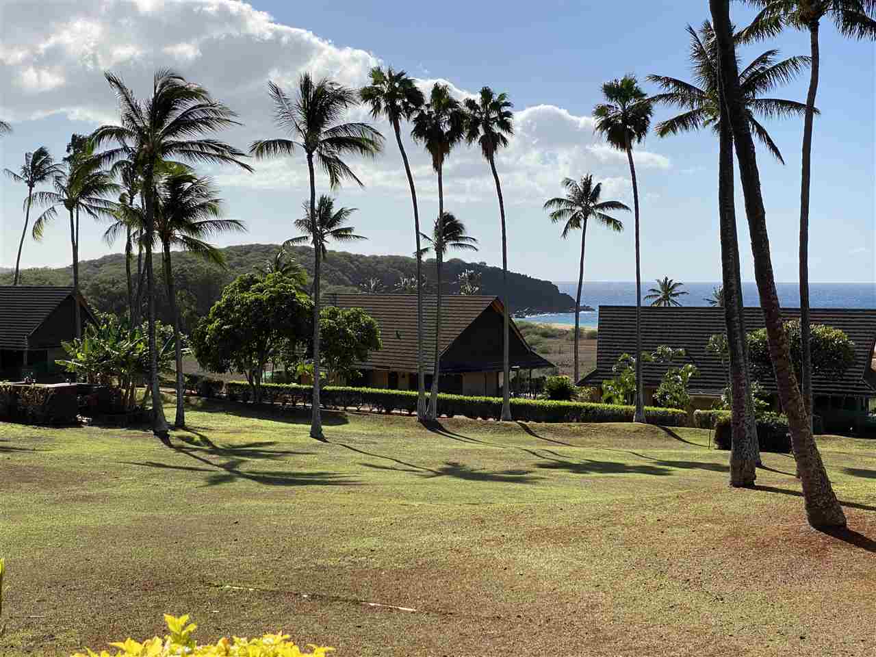 West Molokai Resort condo # 2-1172, Maunaloa, Hawaii - photo 10 of 12
